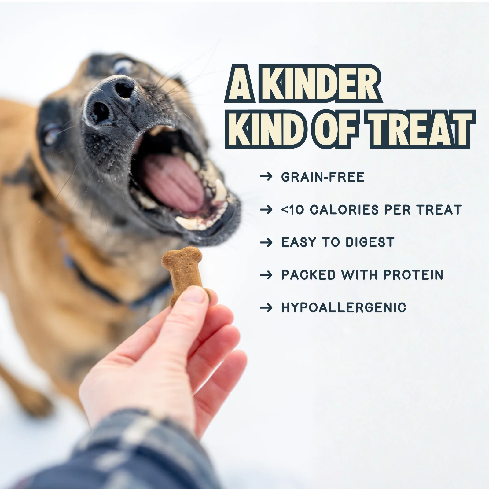 Crunchy Original Cricket Dog Treat - Image 4