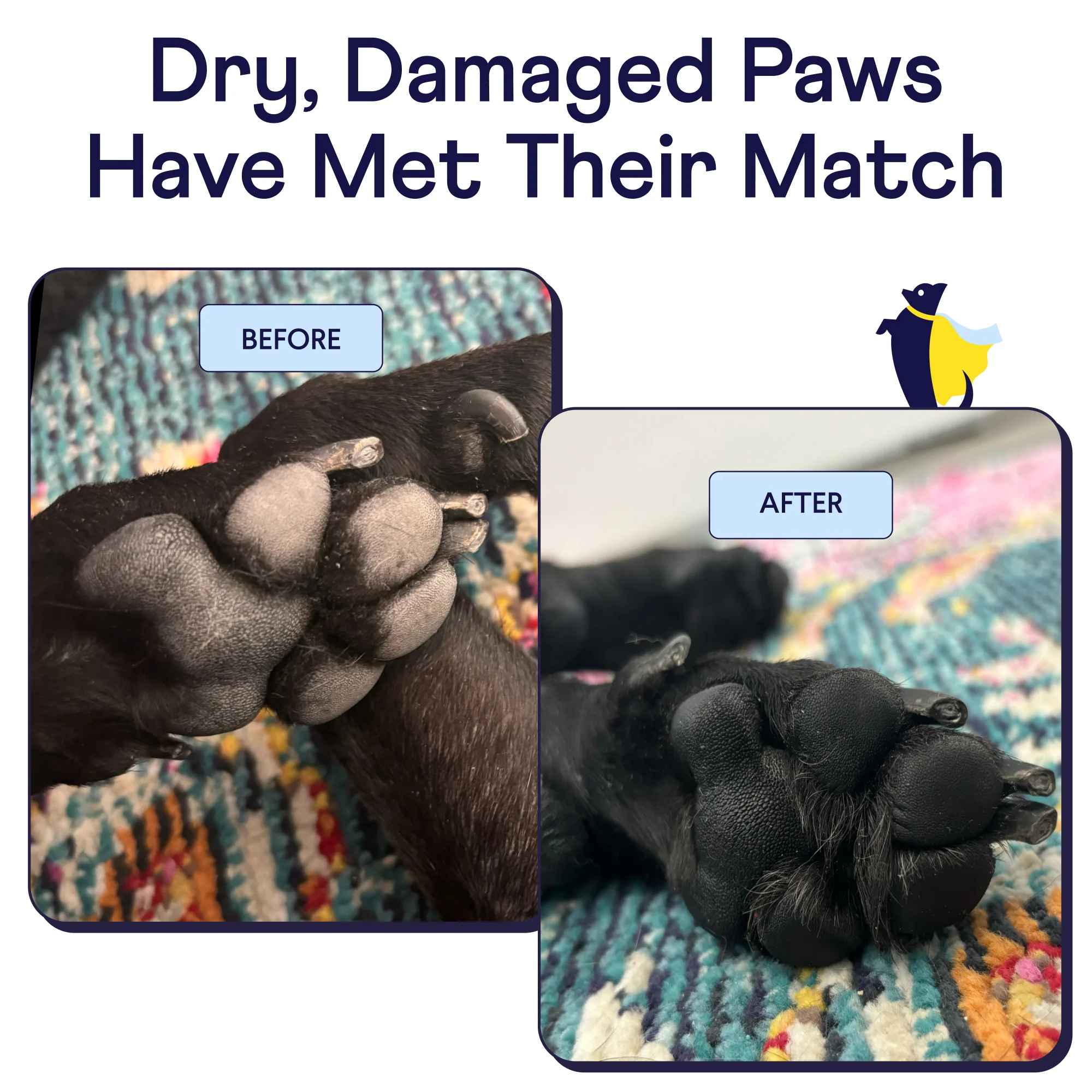Paw Hero - Image 7
