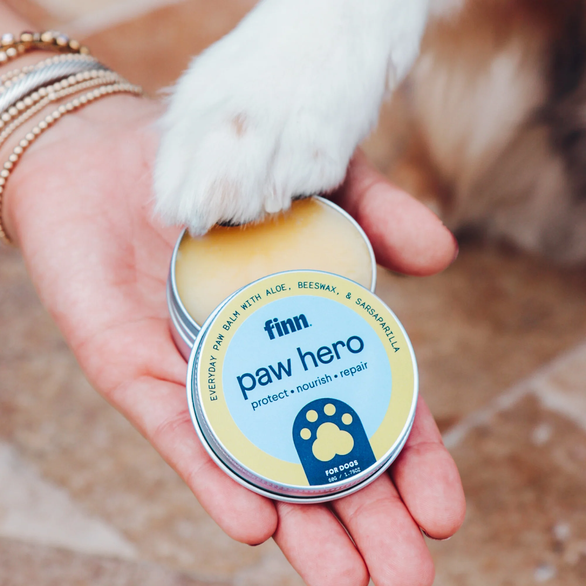 Paw Hero - Image 9