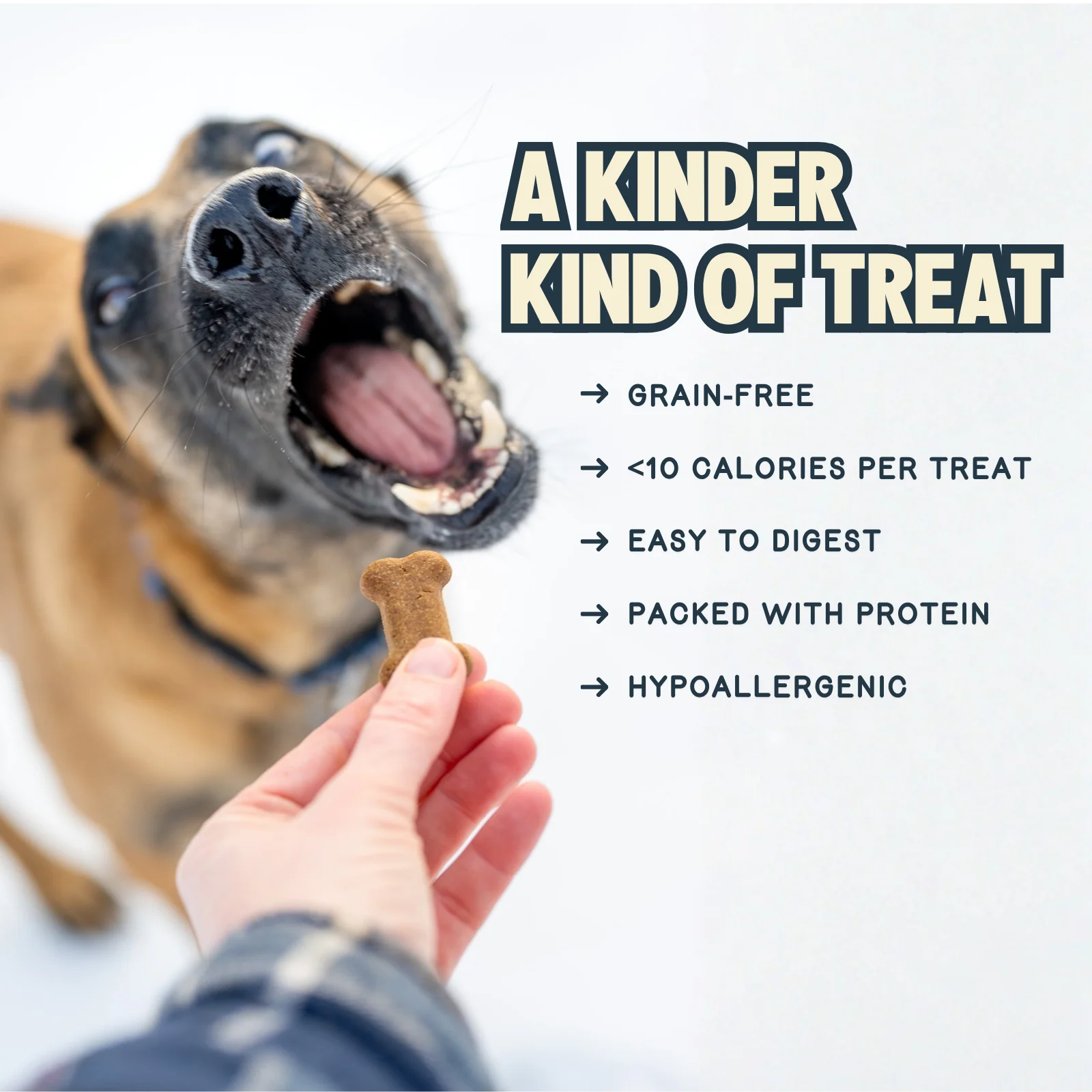 Crunchy Peanut Butter & Blueberry Cricket Dog Treat - Image 4