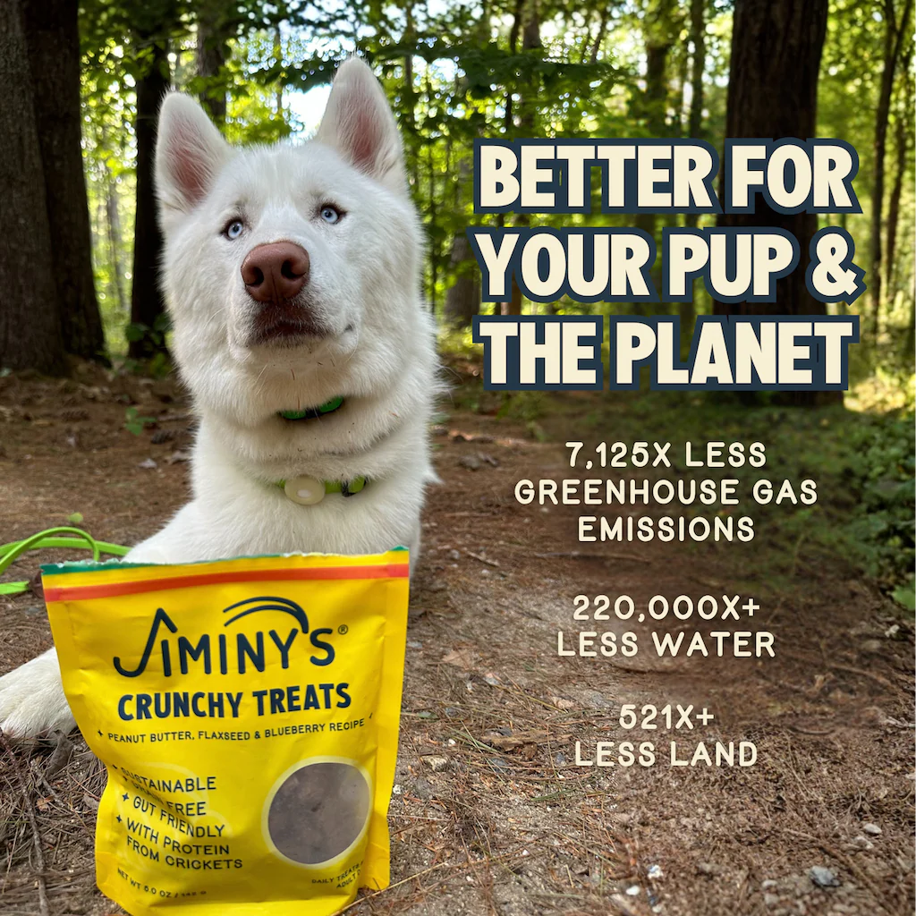Crunchy Peanut Butter & Blueberry Cricket Dog Treat - Image 7