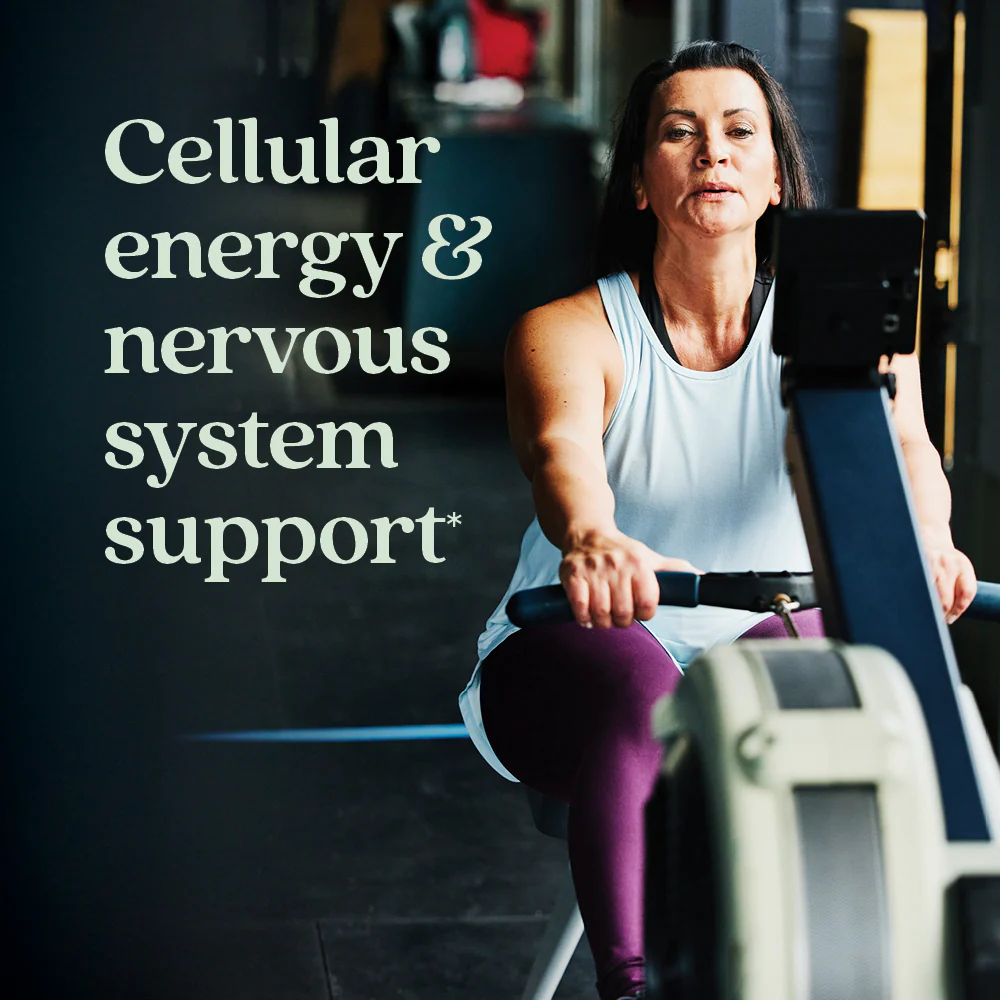 Perfect Energy™ Multivitamin with Vitamin B12 + Vitamin B6 + Vitamin D3 - Image 7
