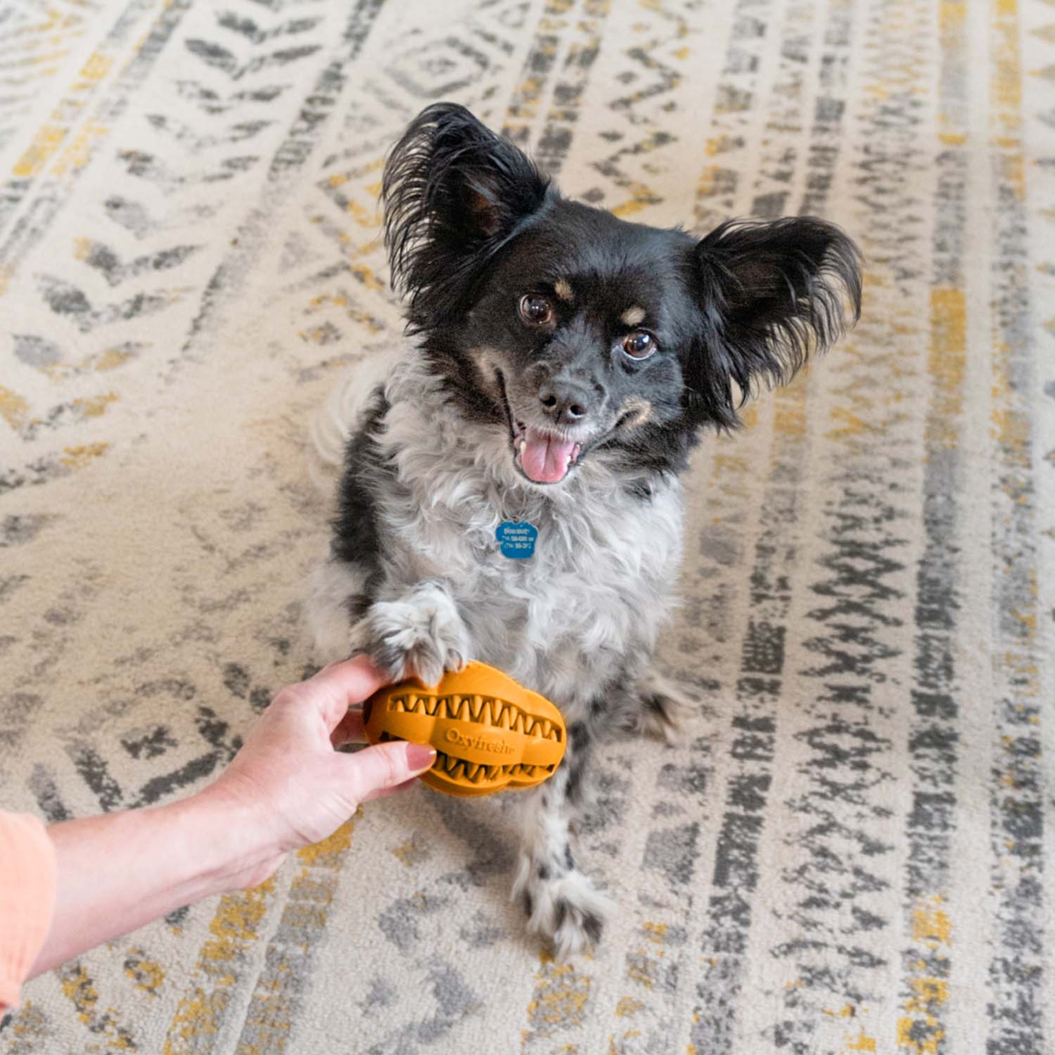 Pet Dental Chew Toy - Image 2