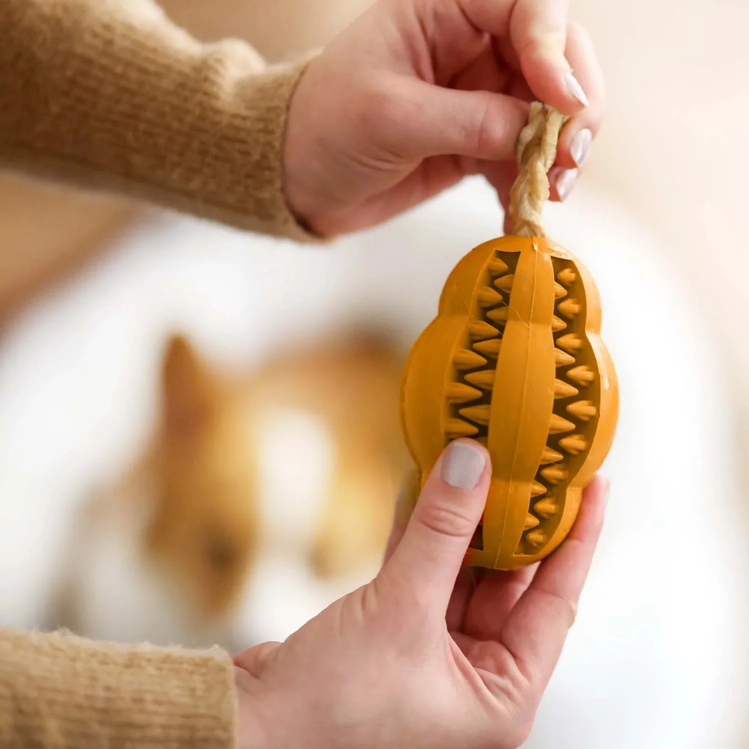 Pet Dental Chew Toy - Image 20