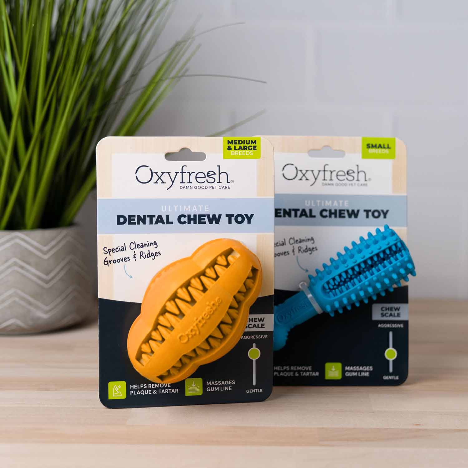 Pet Dental Chew Toy - Image 3