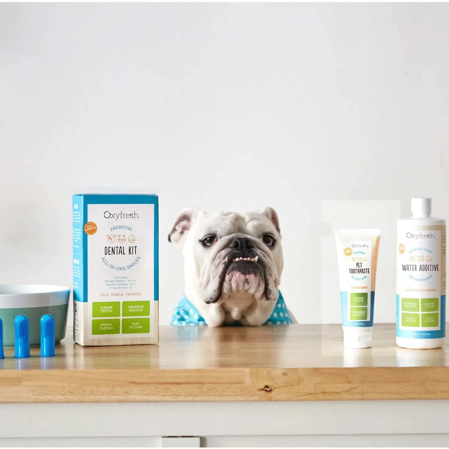 Pet Dental Kit - Image 19