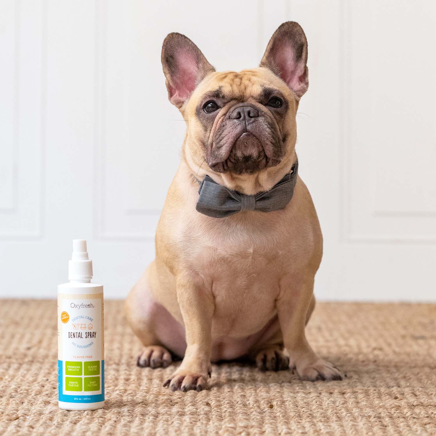 Pet Bad Breath Fast Acting Dental Spray - Image 11