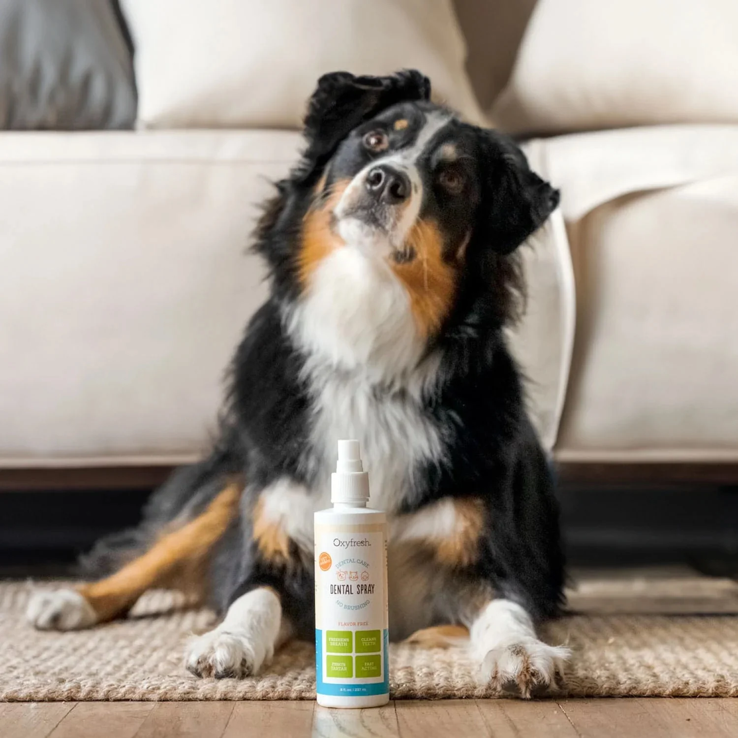 Pet Bad Breath Fast Acting Dental Spray - Image 12