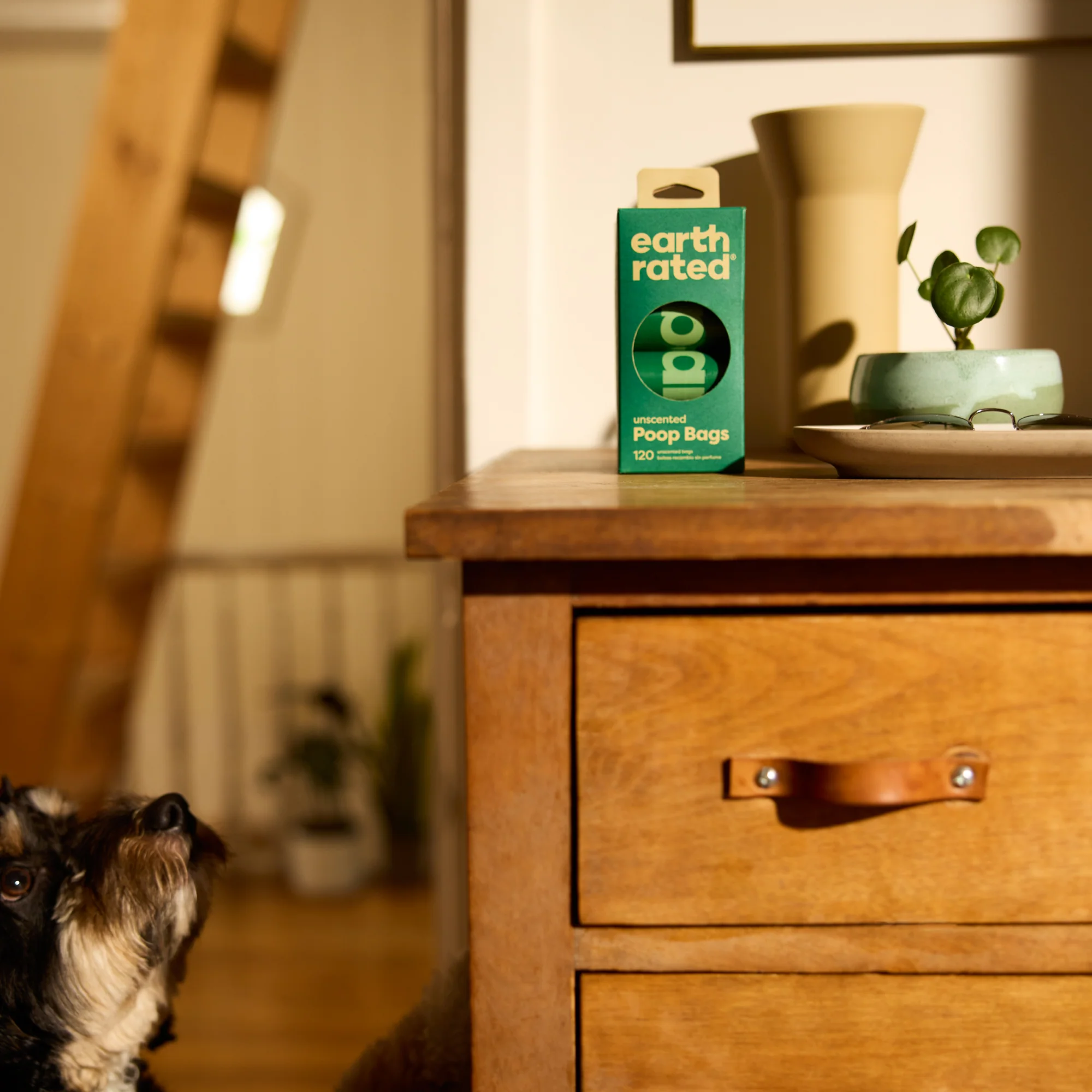 Pet Waste Bags - Image 7