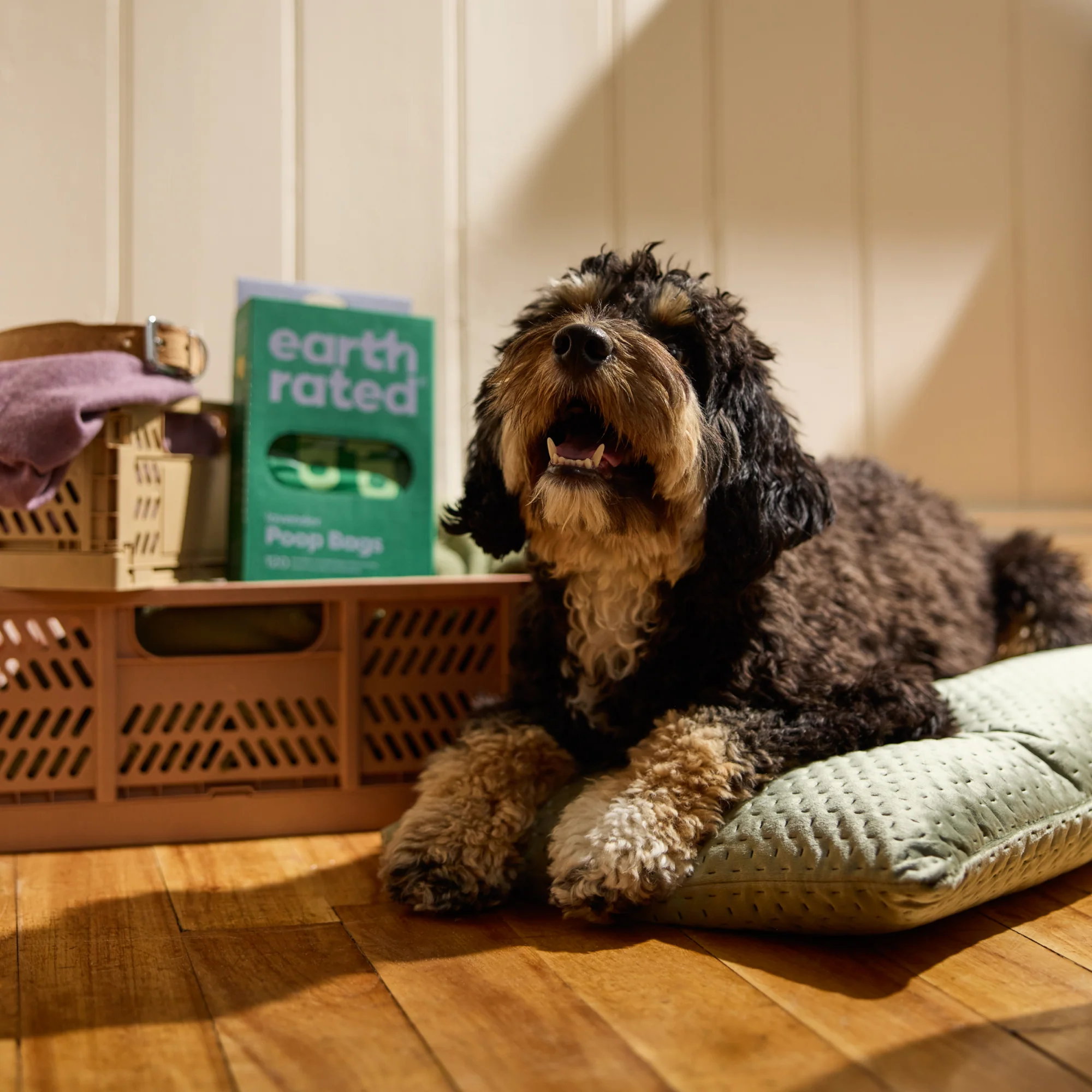 Pet Waste Bags with Handles - Image 13