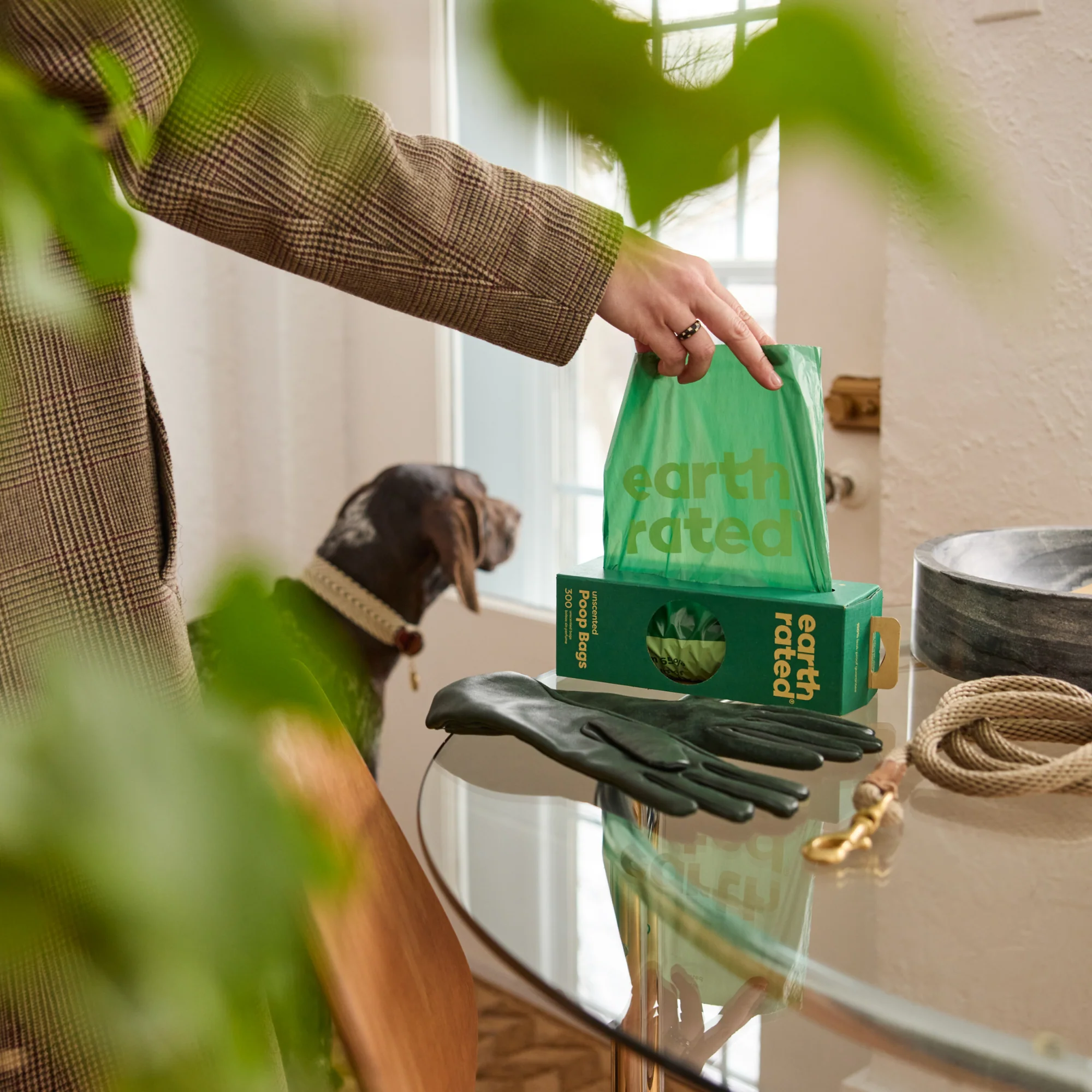 Pet Waste Bags, Large Single Roll Refill - Image 16
