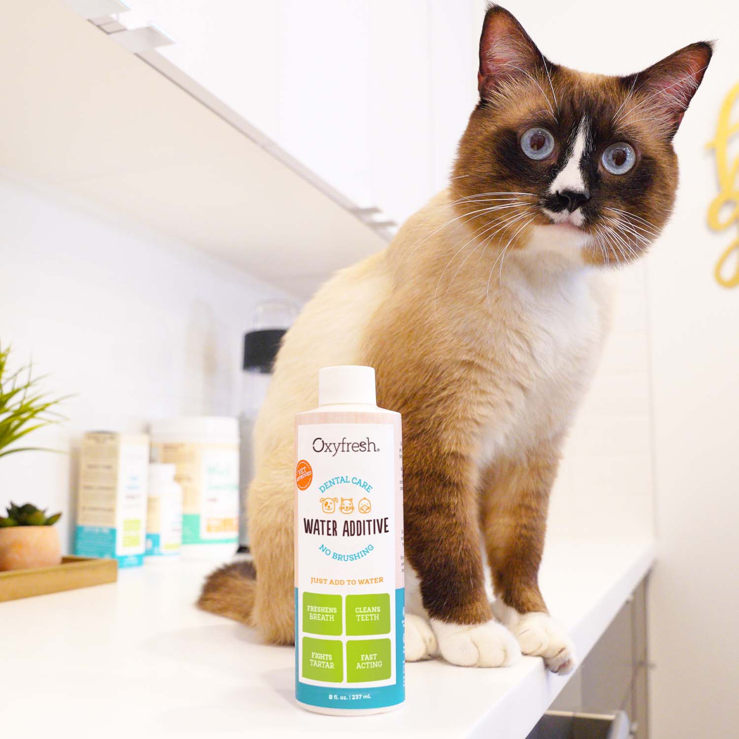 Pet Water Additive - Image 16