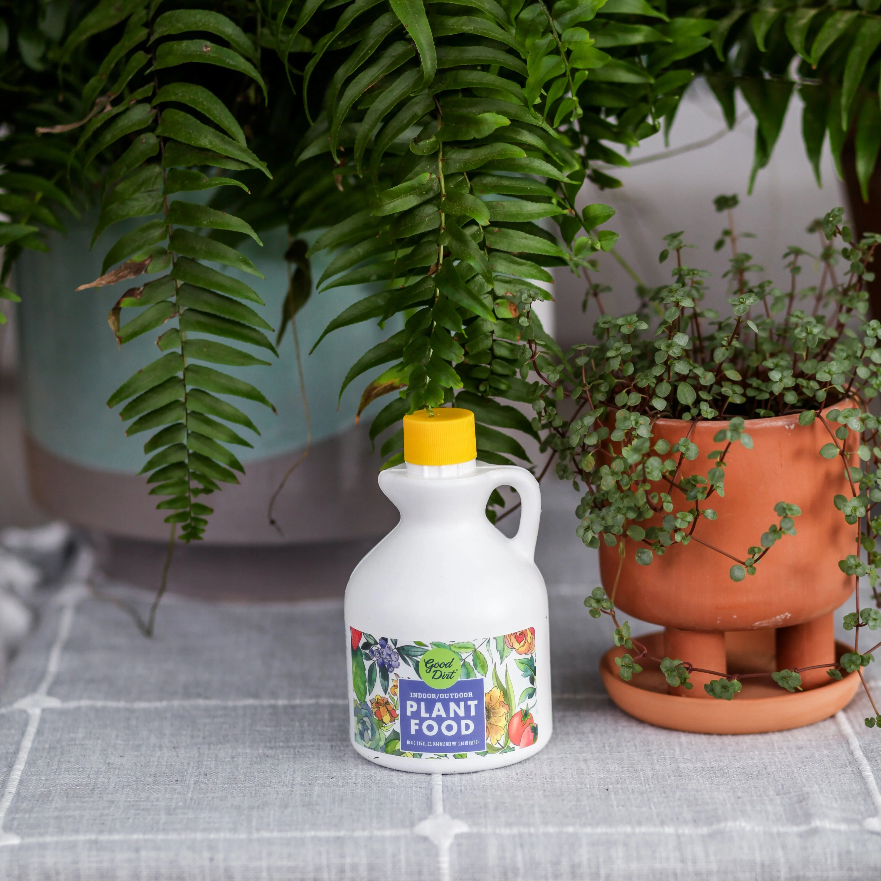 Plant Food - Indoor & Outdoor - Image 9