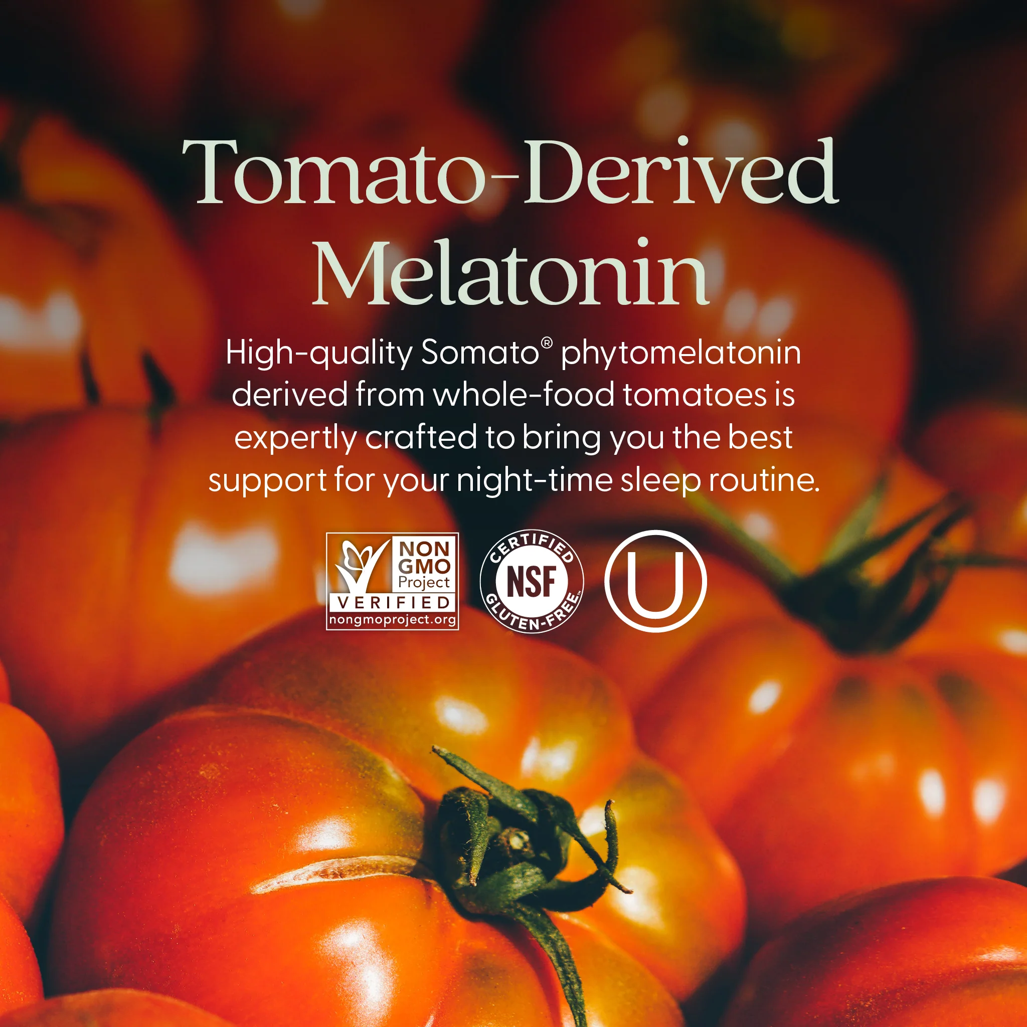Plant Melatonin + Tart Cherry & Ashwagandha Tablet - Image 6