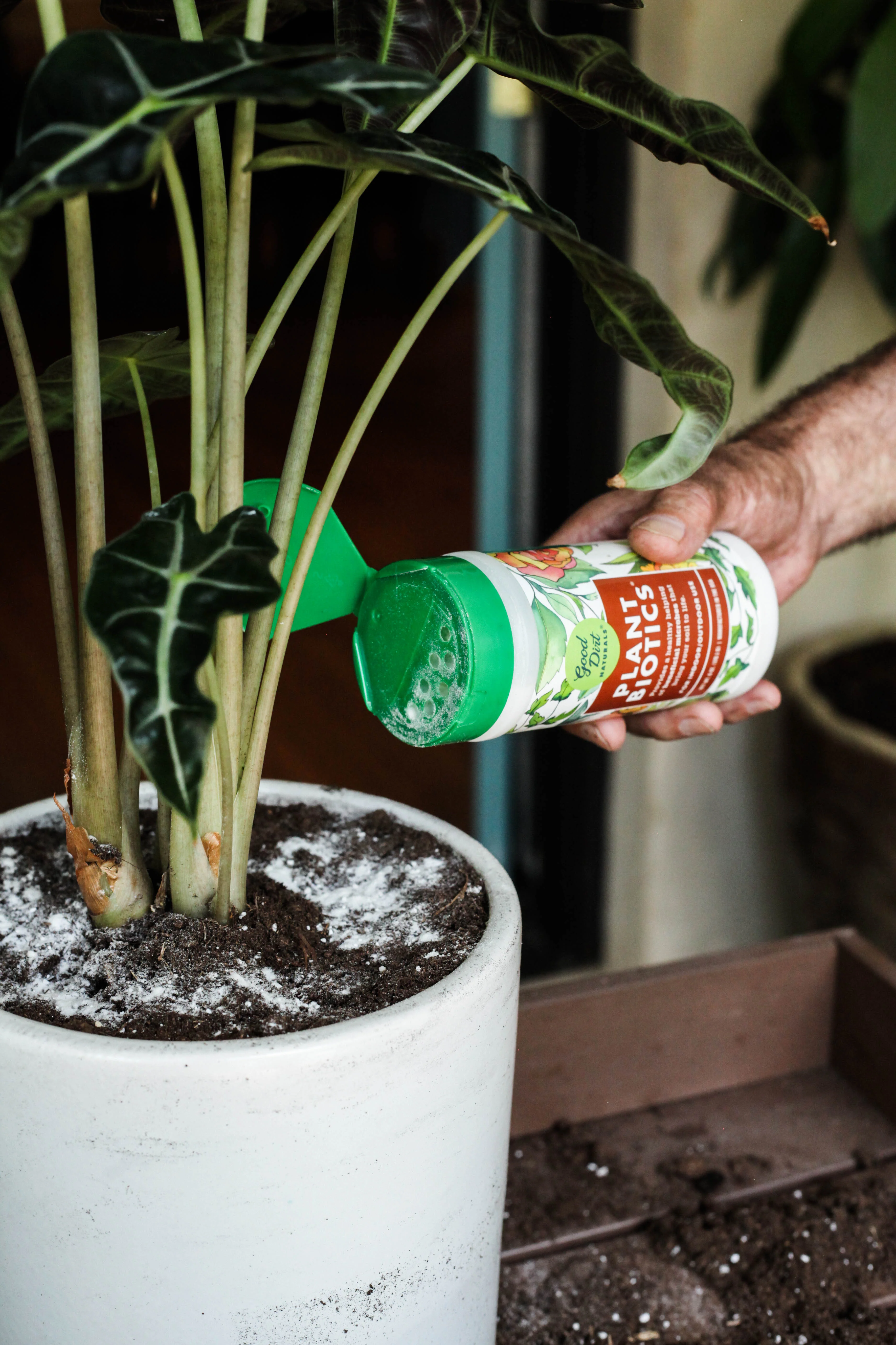 PlantBiotic Indoor/Outdoor Nutrient Boost - Image 5