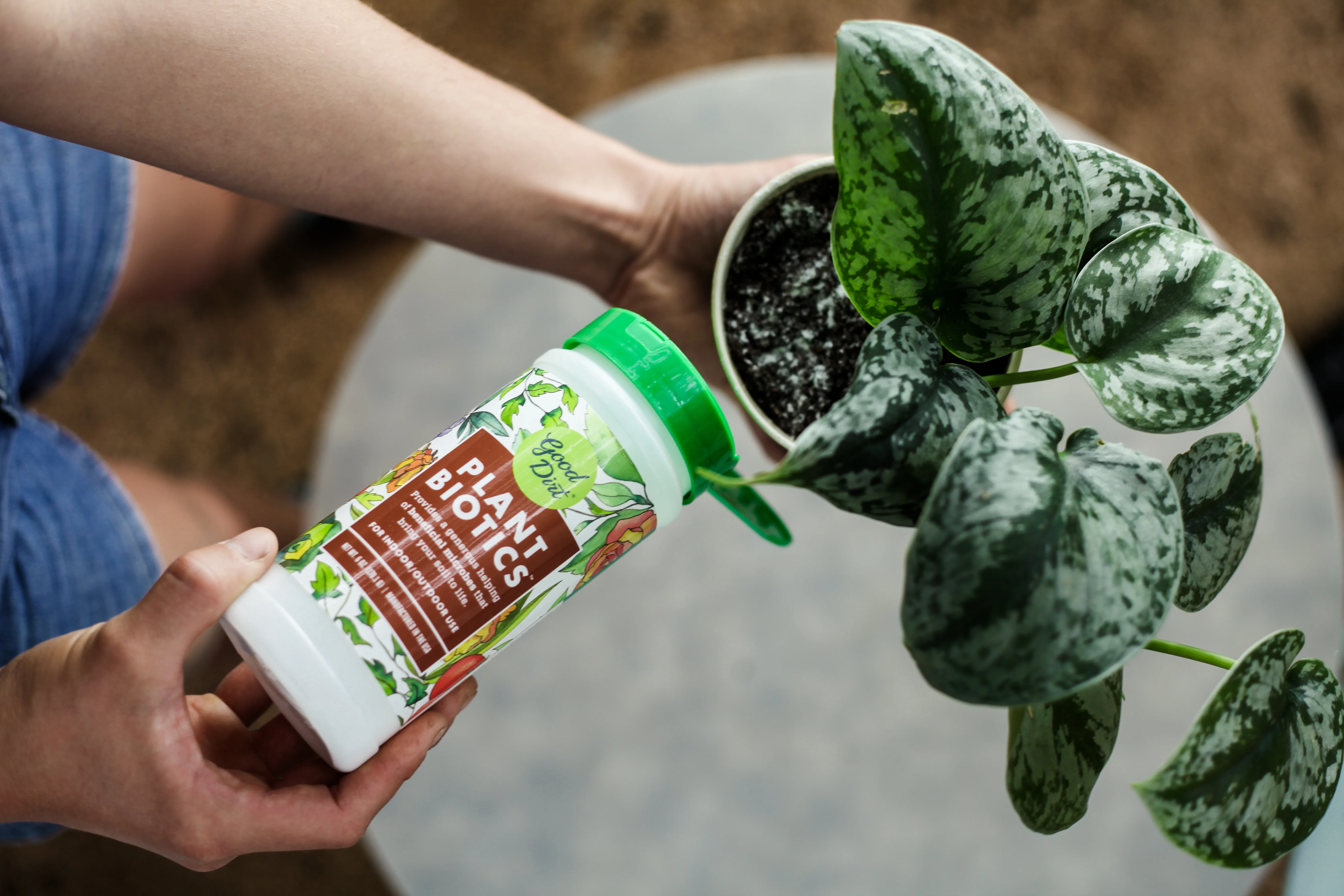 PlantBiotic Indoor/Outdoor Nutrient Boost - Image 6