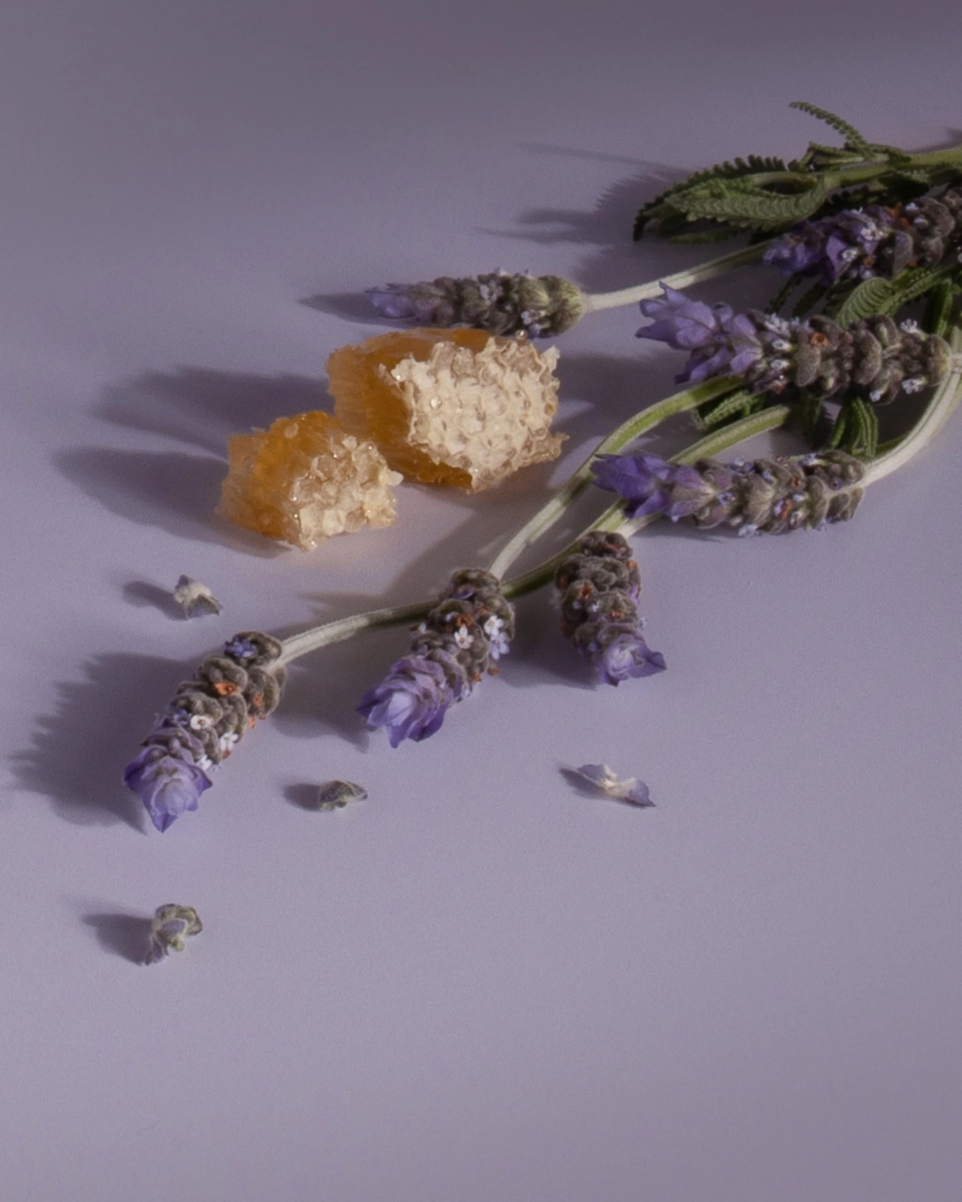 Plug-in Air Freshener Refill - Image 27