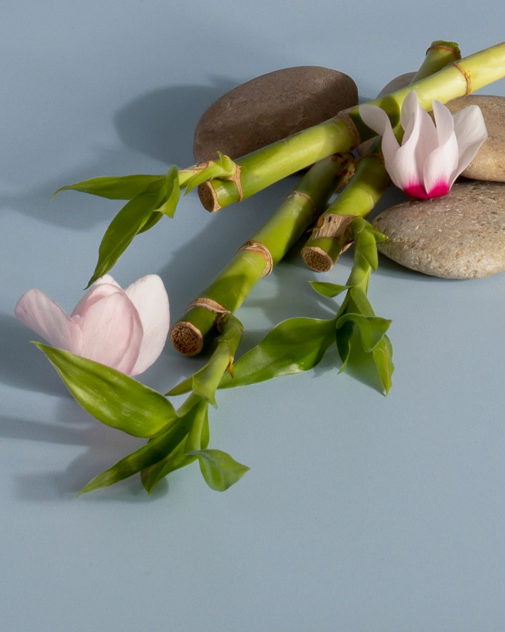 Plug-in Air Freshener Refill - Image 49