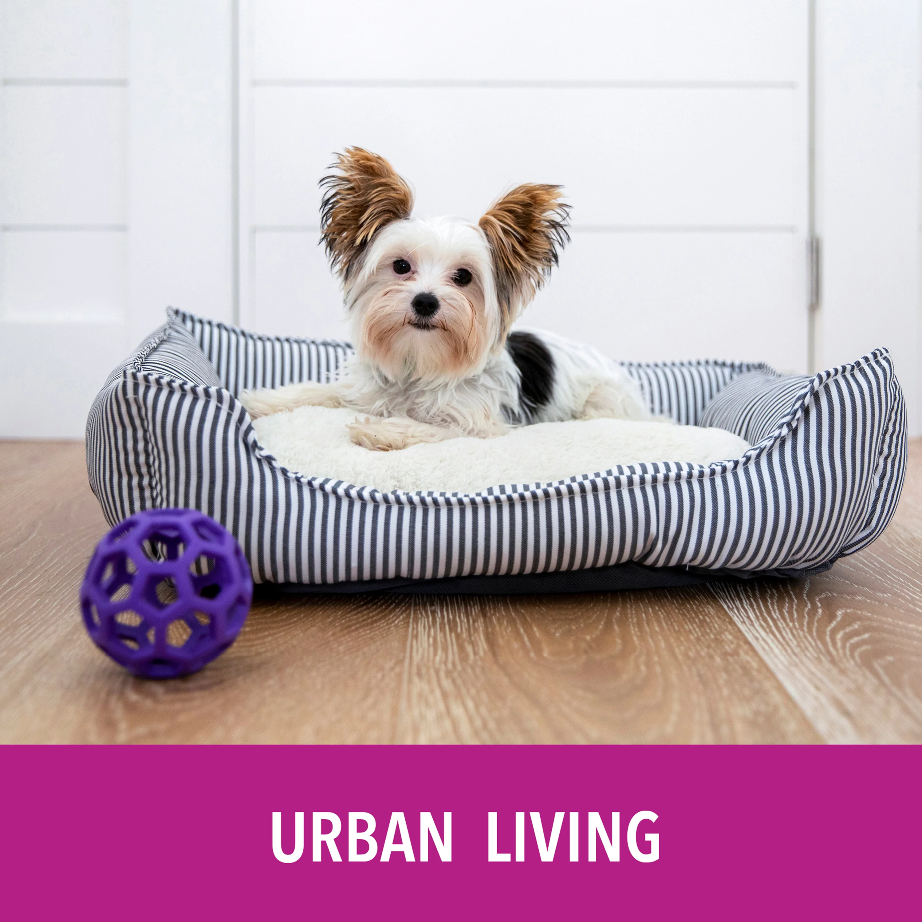 Potty Natural Paper Fiber Dog Litter - Image 9