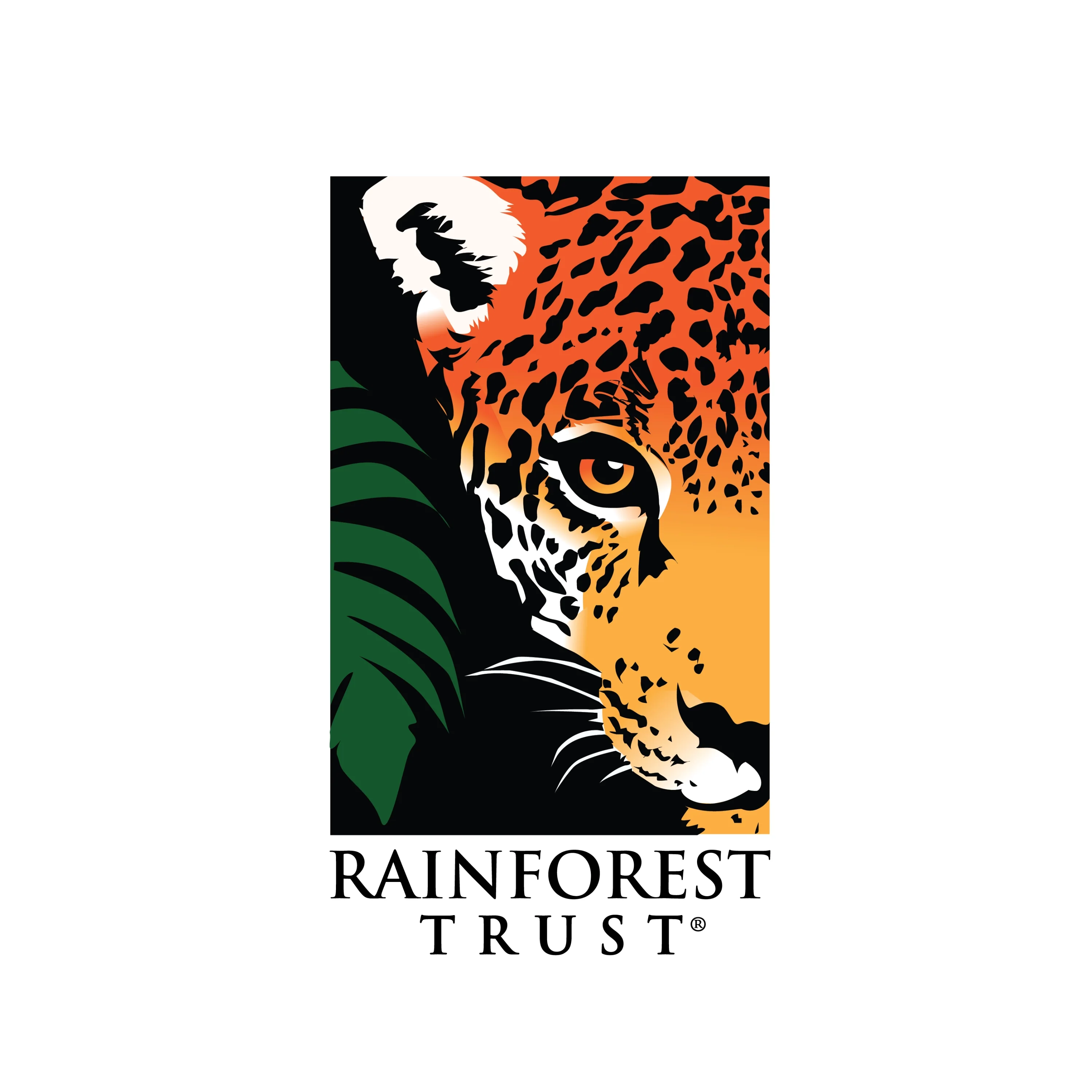 Protect the Brazilian Rainforest - Image 9