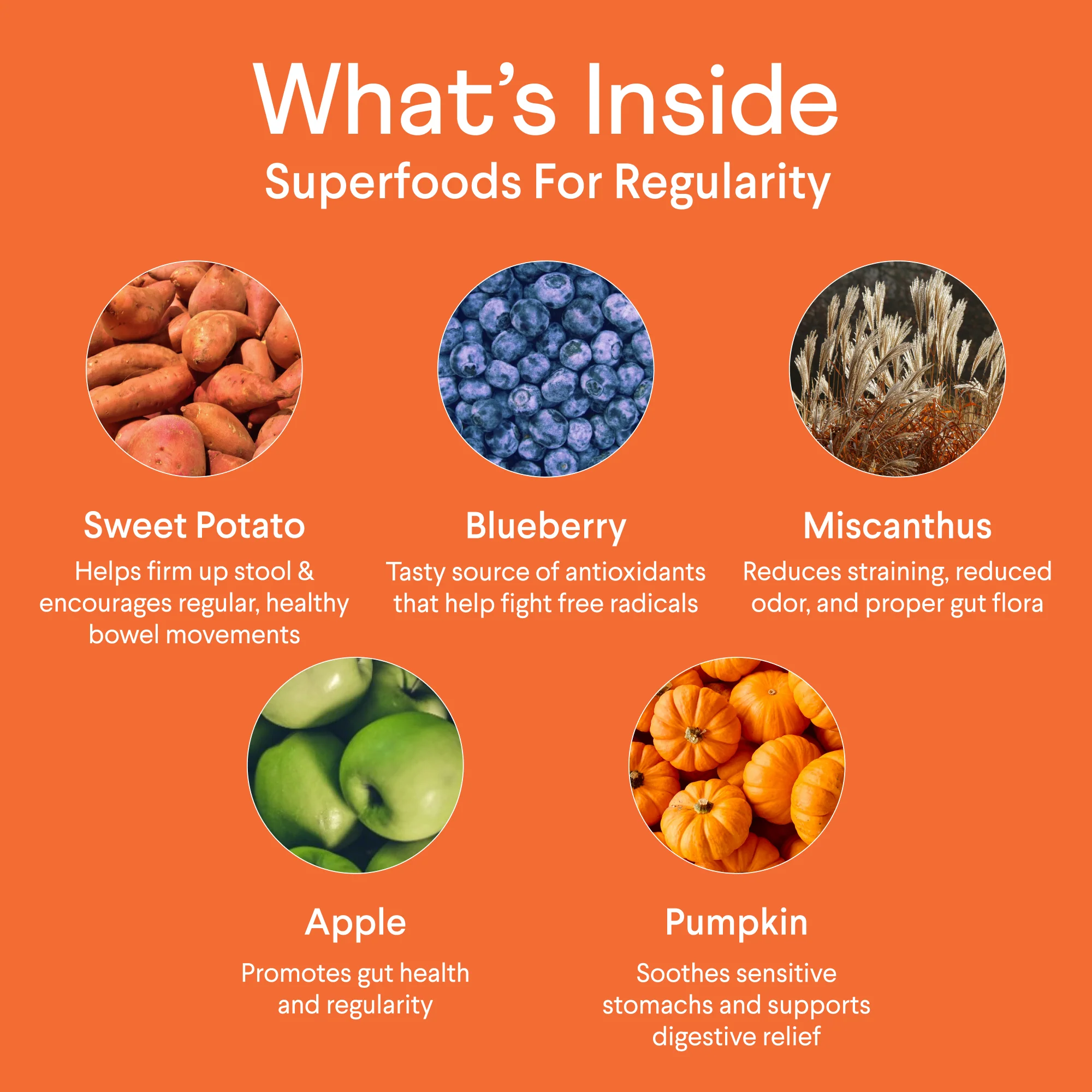 Pumpkin Plus: Superfoods for Regularity - Image 5