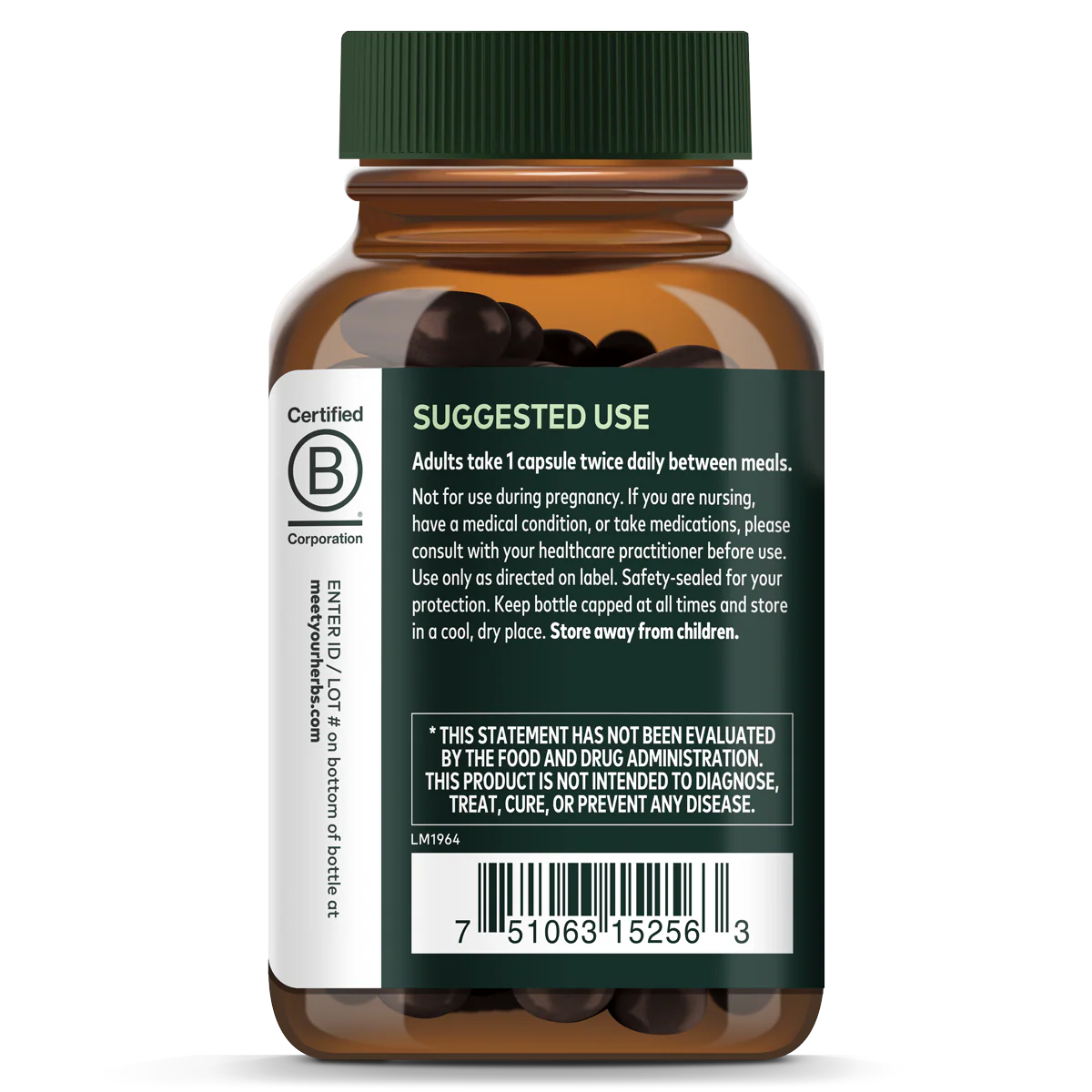 Quercetin Synergy - For Immune Support - Image 2
