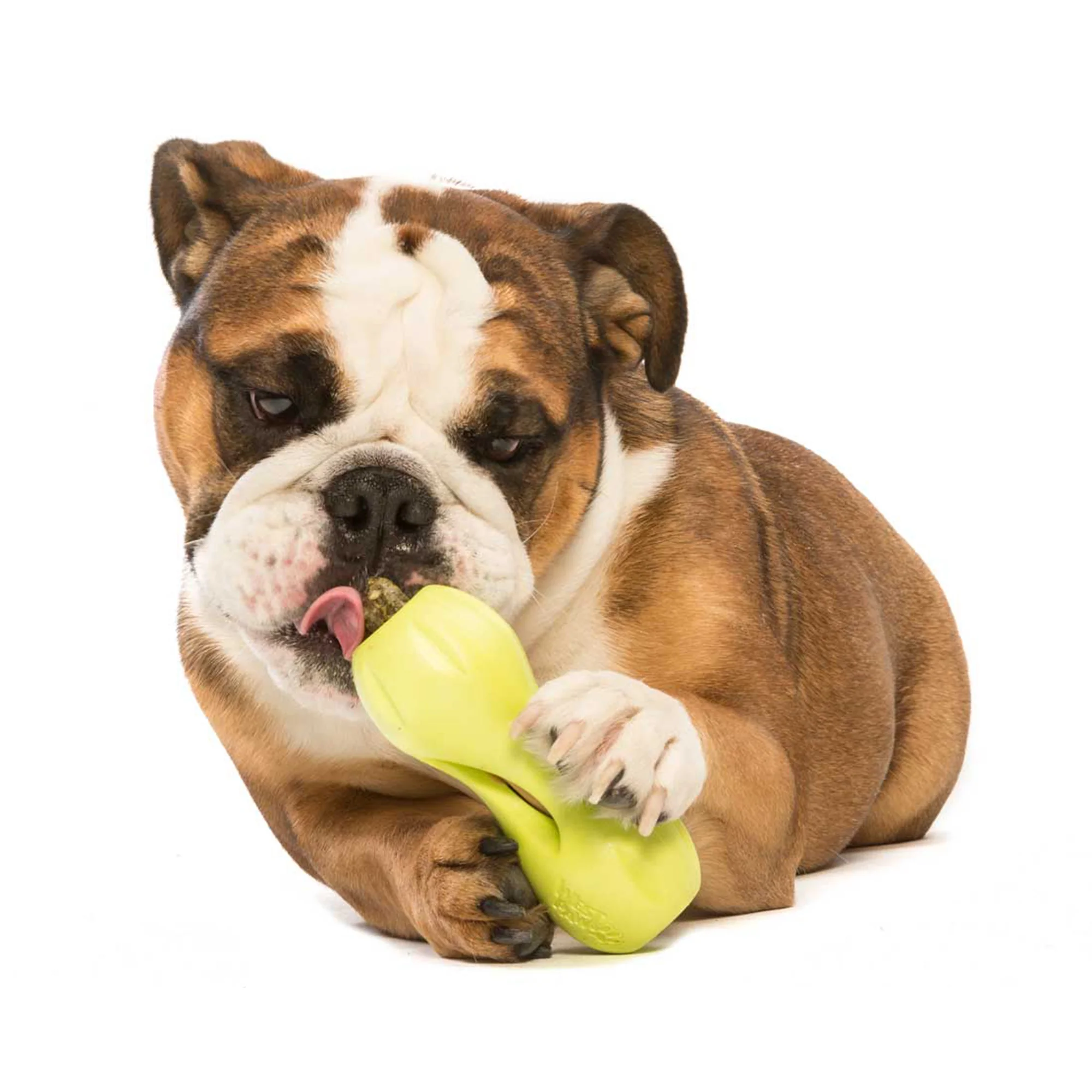 Qwizl® Integrative Dog Toy Puzzle Treat Extender Promoting Cognitive Support made from Zero-Waste Plastic - Small - Image 3