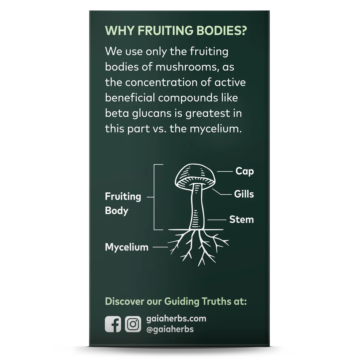 Reishi Mushroom - For Immune & Heart Support - Image 2
