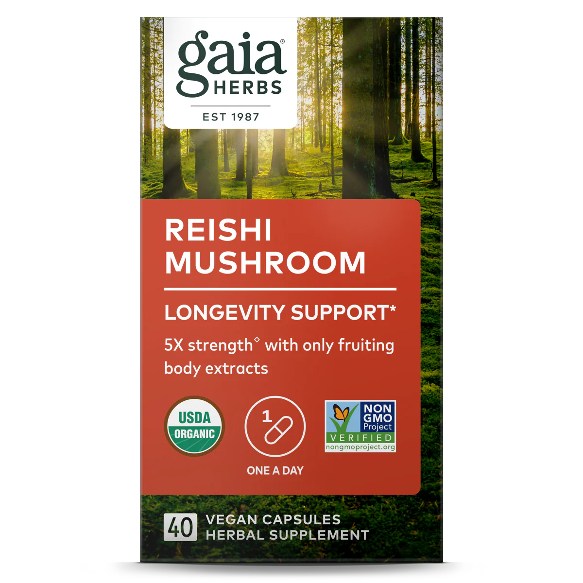 Reishi Mushroom - For Immune & Heart Support - Image 4
