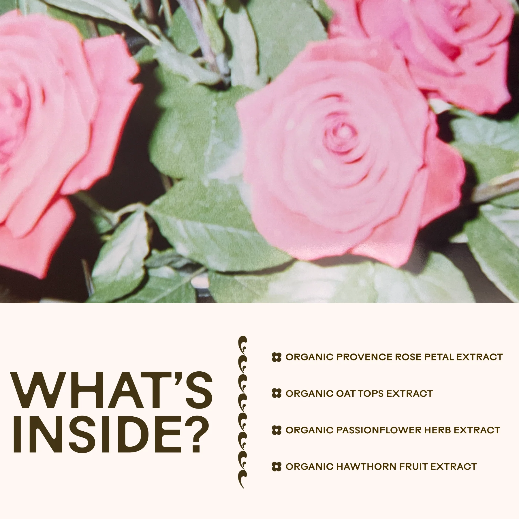 Rose-Colored Glasses Tincture - Image 8