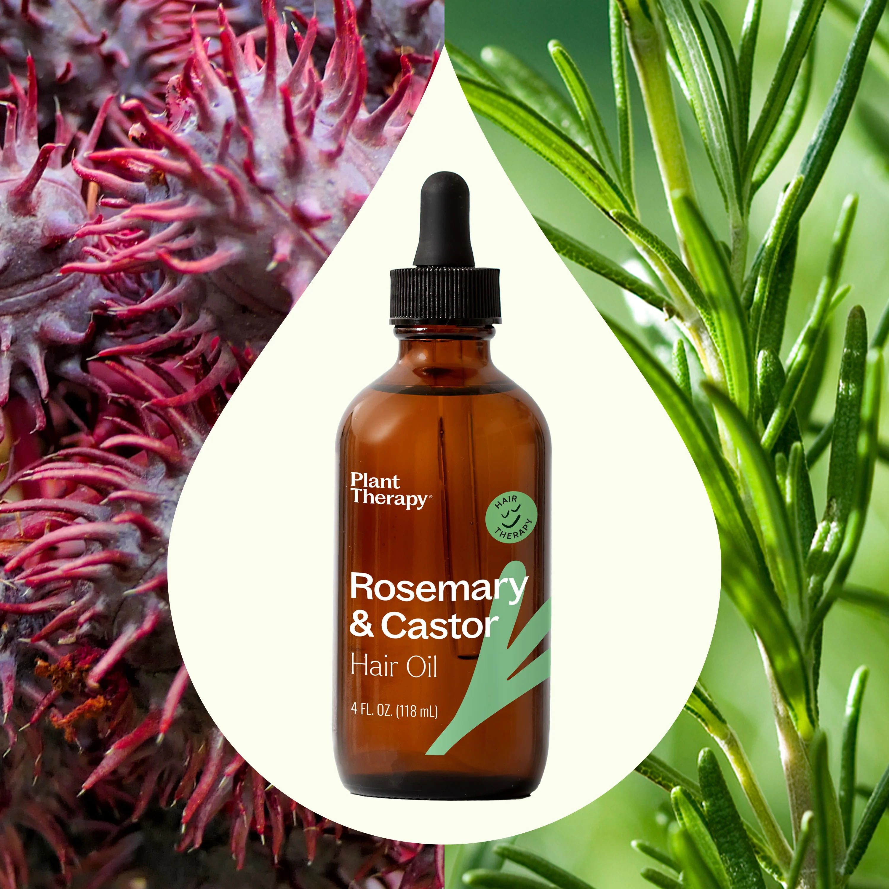 Rosemary & Castor Hair Oil - Image 2