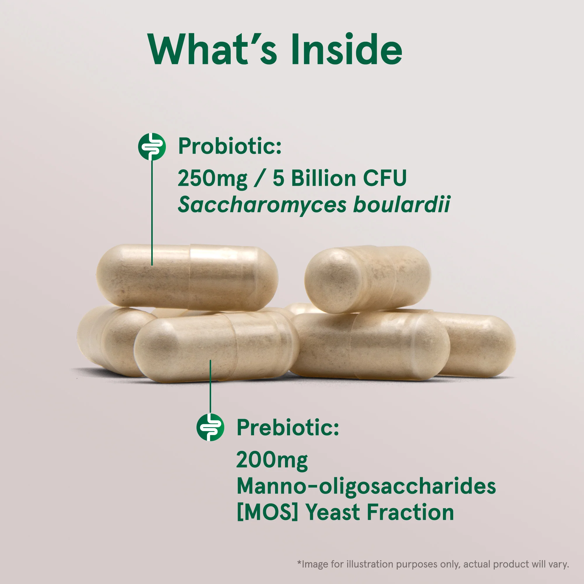 Saccharomyces Boulardii Probiotics + MOS - Image 4
