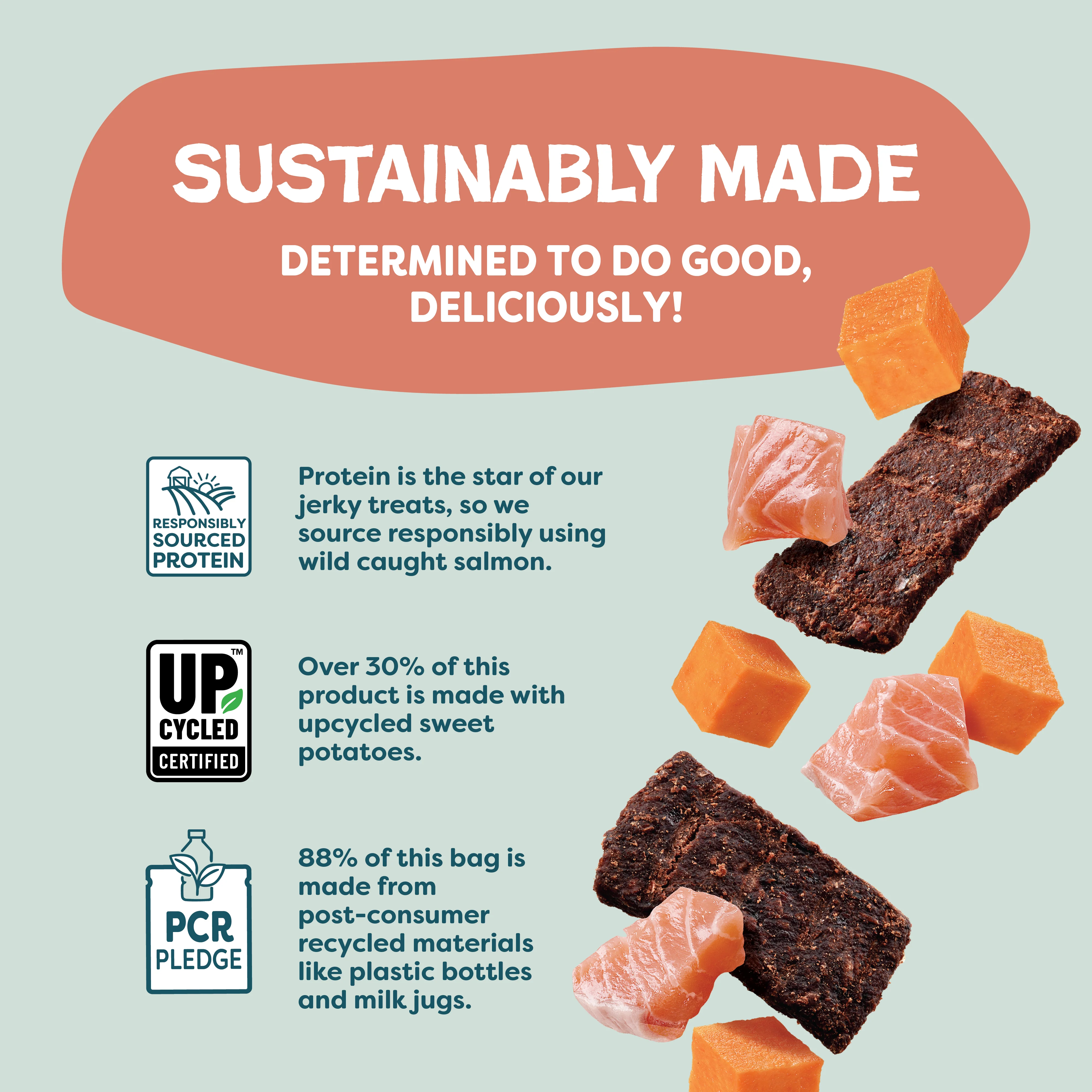Salmon Loves Butternut Jerky Dog Treats - Image 9