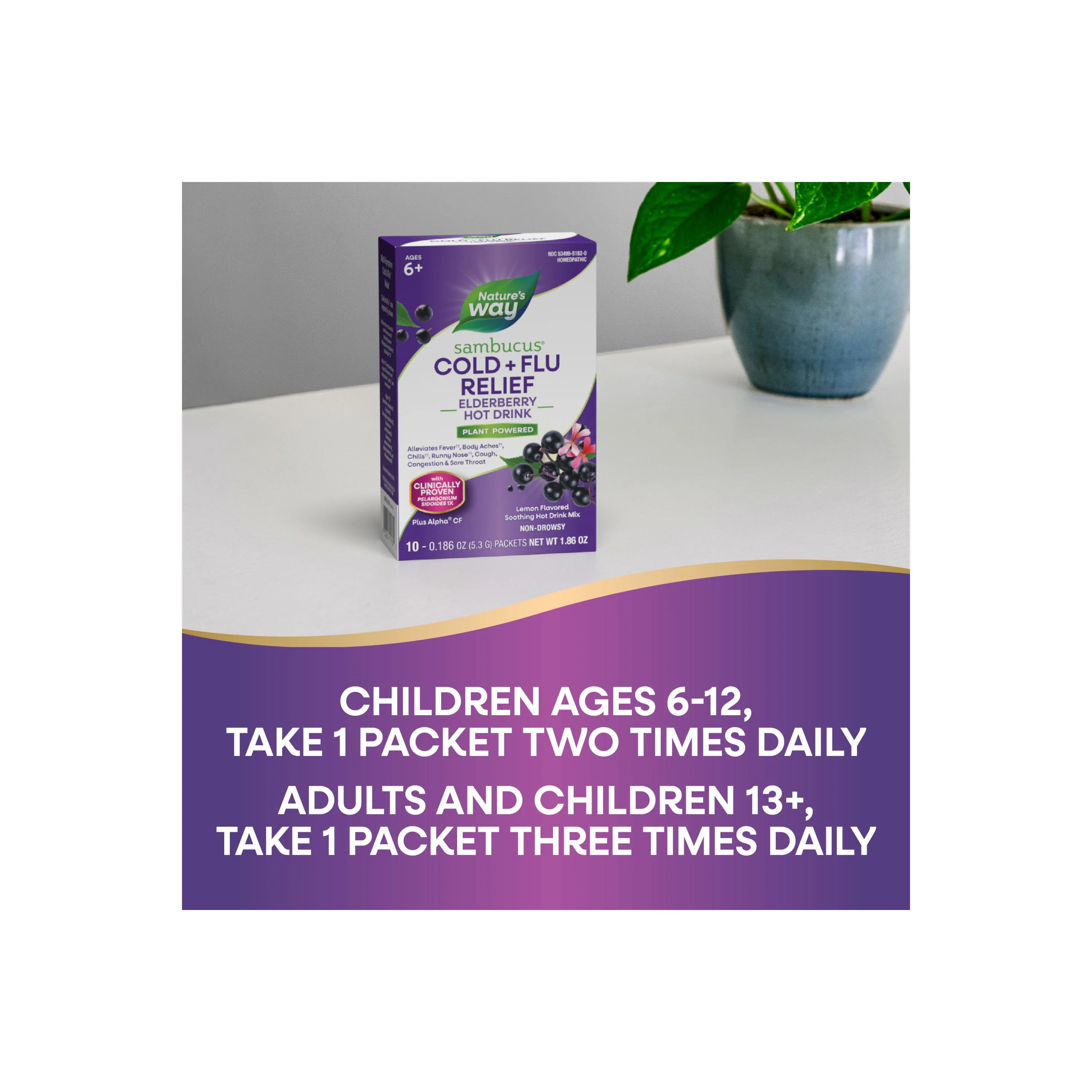 Sambucus Cold+Flu Relief Hot Drink - Image 12