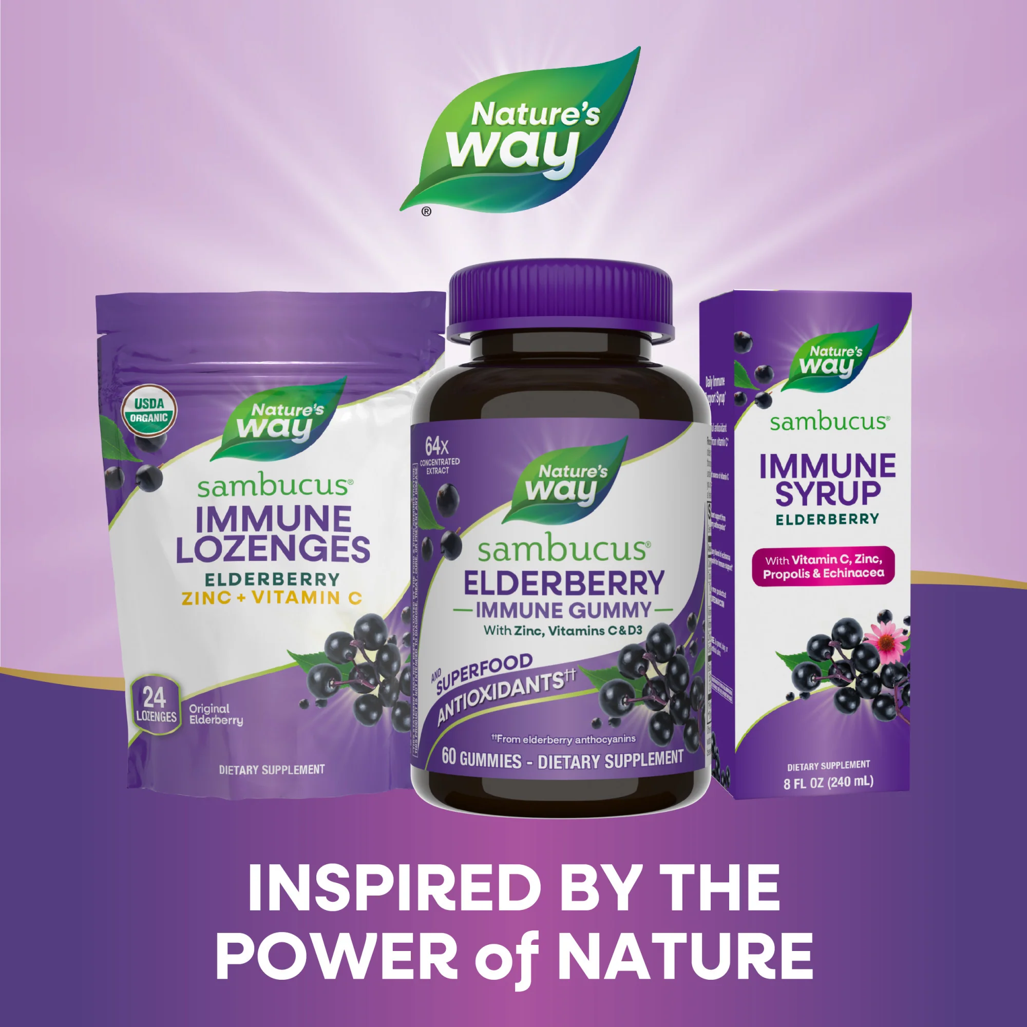 Sambucus Elderberry Gummy - For Immune Support - Image 3