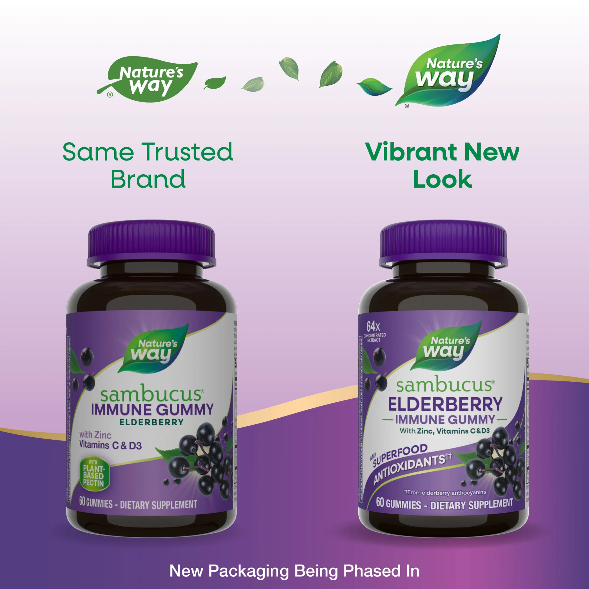 Sambucus Elderberry Gummy - For Immune Support - Image 6