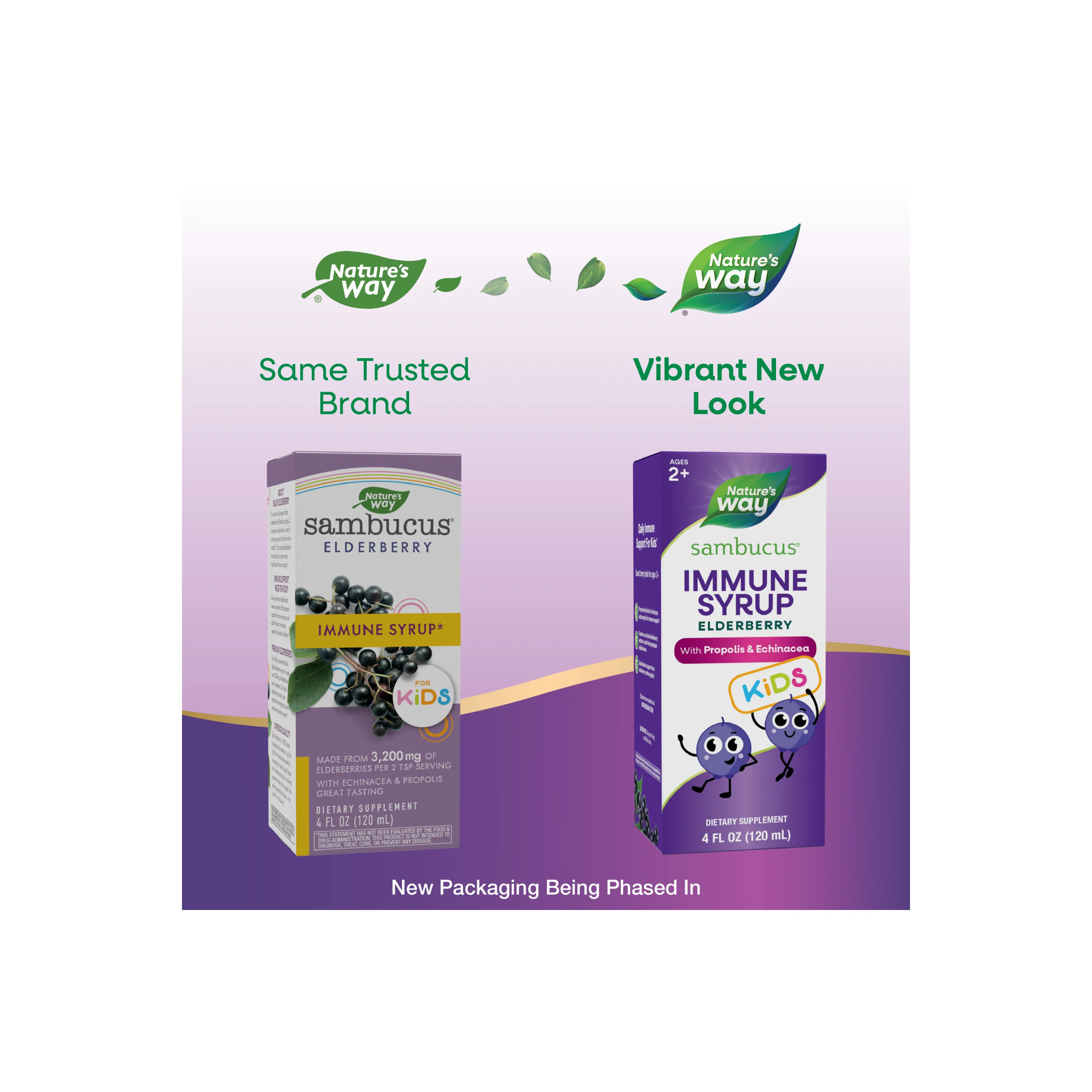 Sambucus Immune Syrup for Kids* - Image 6