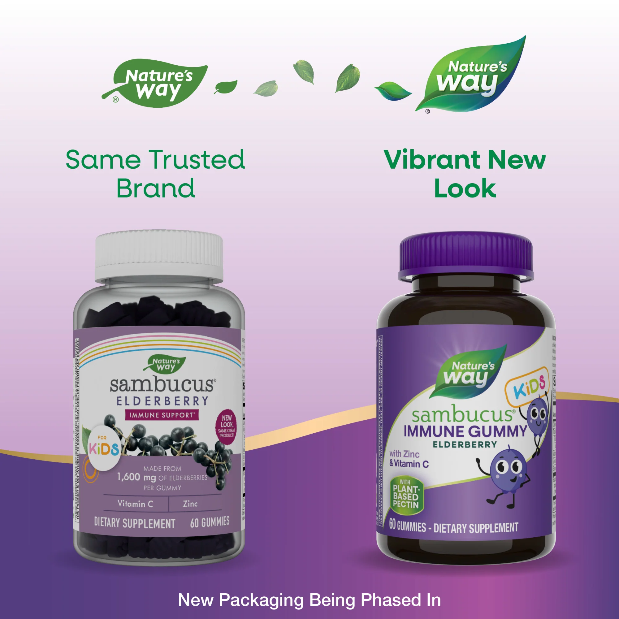 Sambucus Kids Gummy - For Immune Support - Image 6