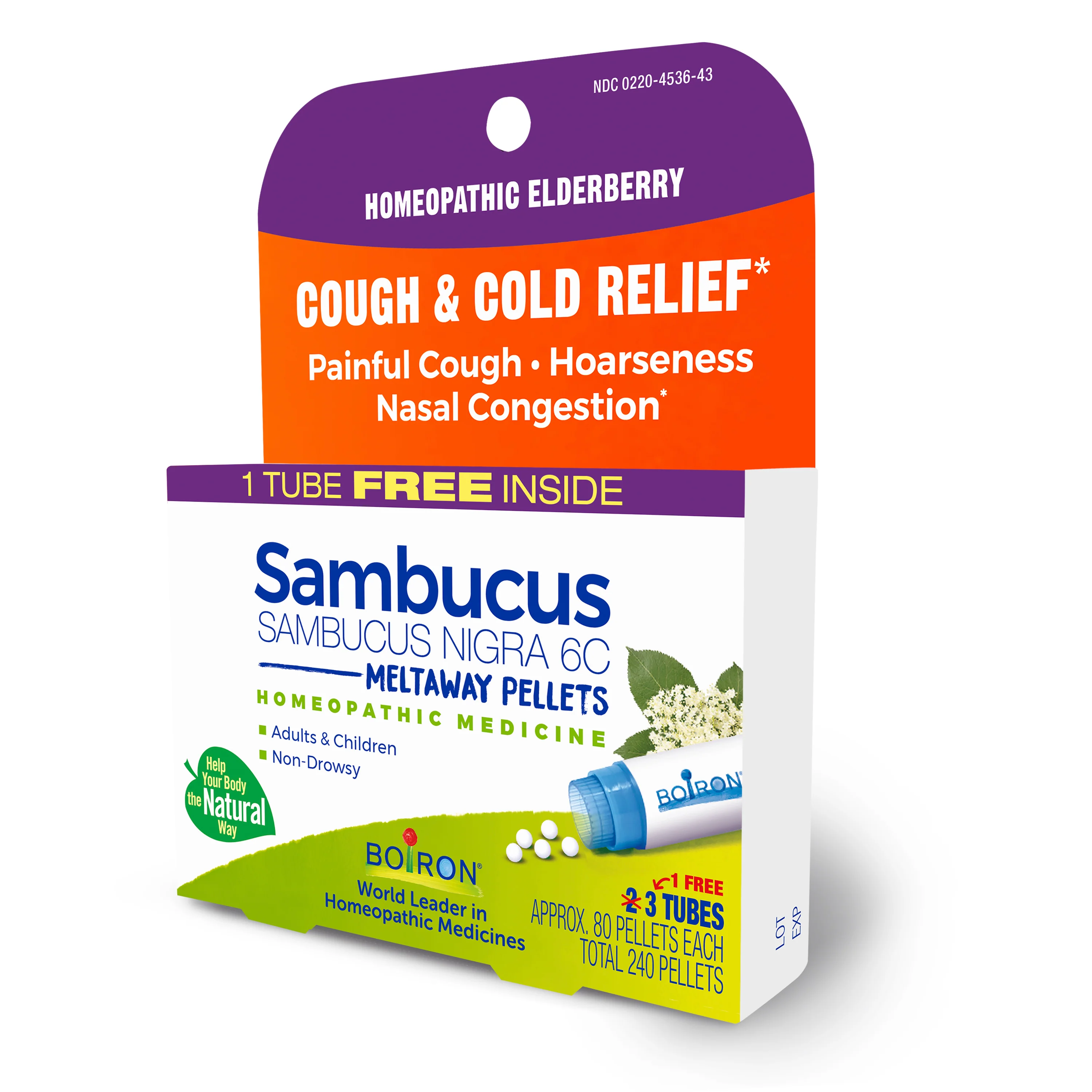 Sambucus Nigra 6C Bonus Pack - Image 2