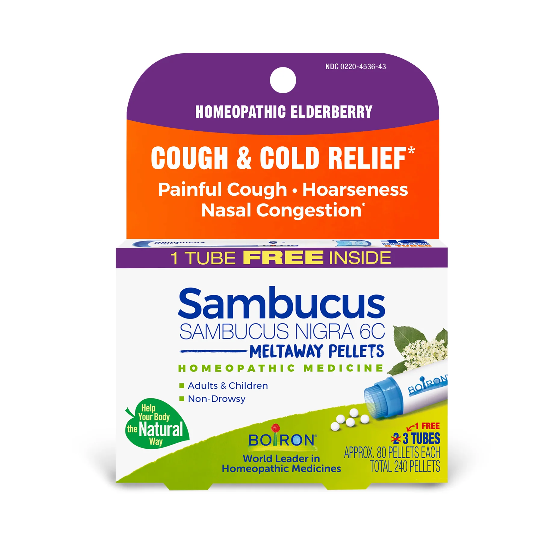 Sambucus Nigra 6C Bonus Pack - Image 3