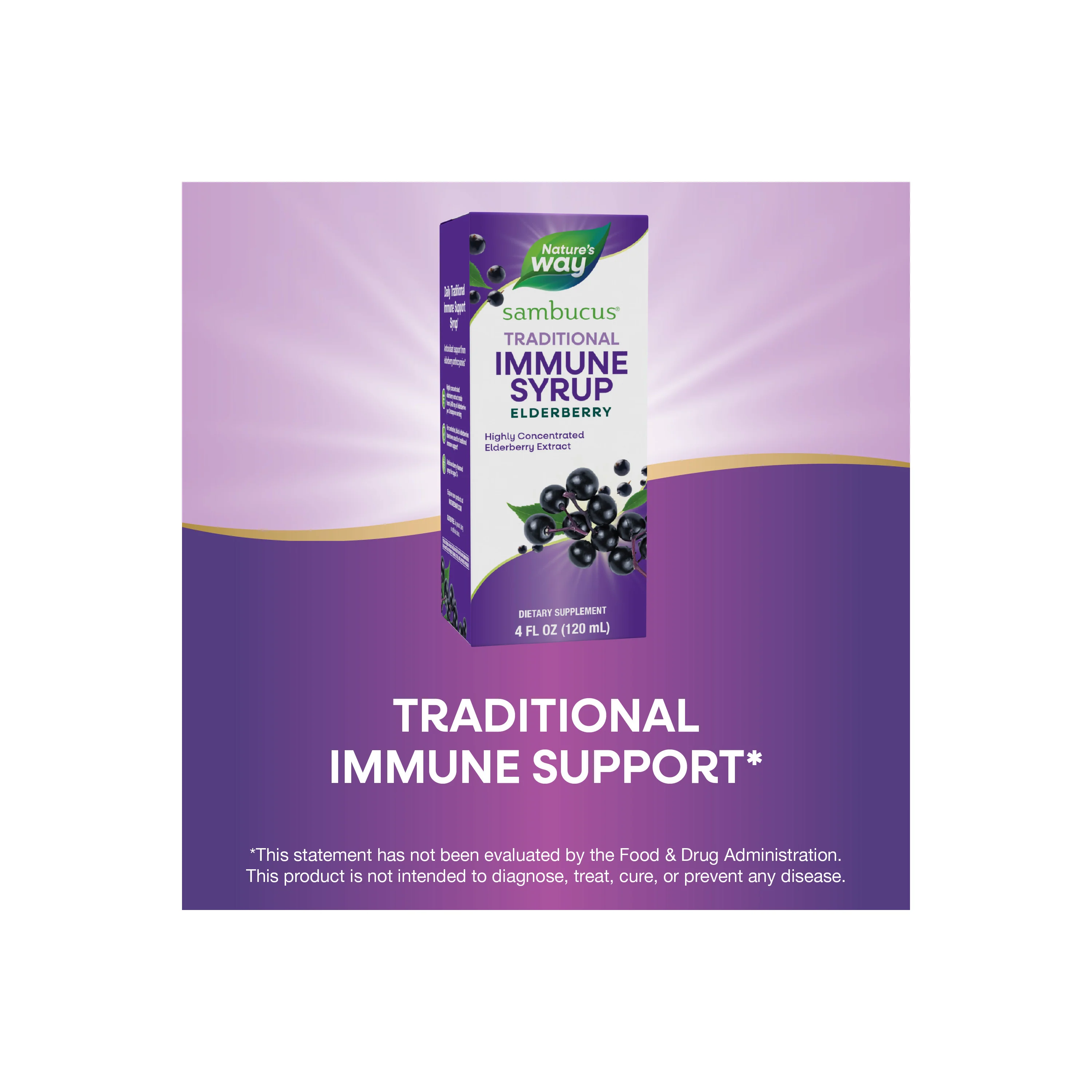 Sambucus Traditional Immune Syrup - Image 11