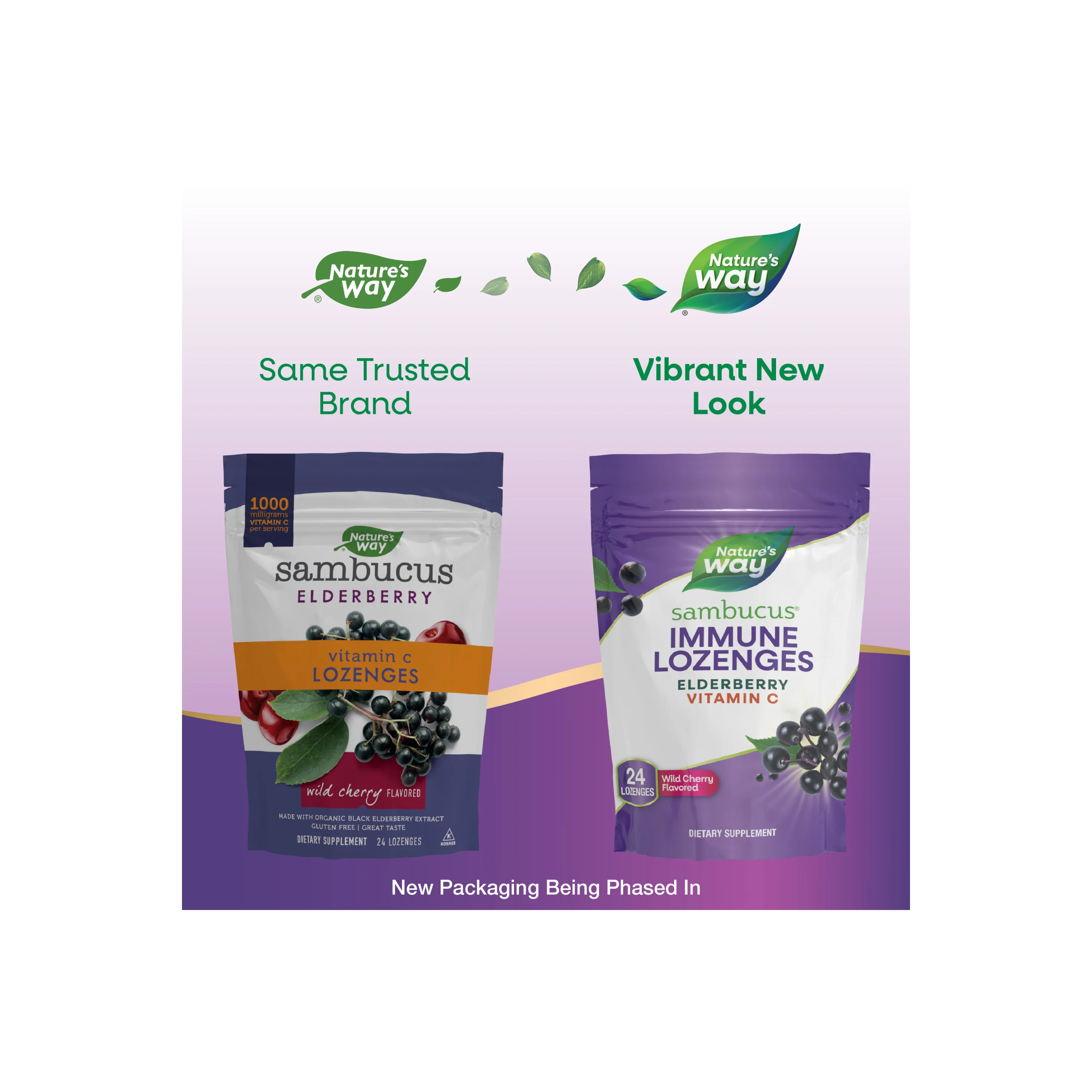 Sambucus Vitamin C Lozenges - Image 5