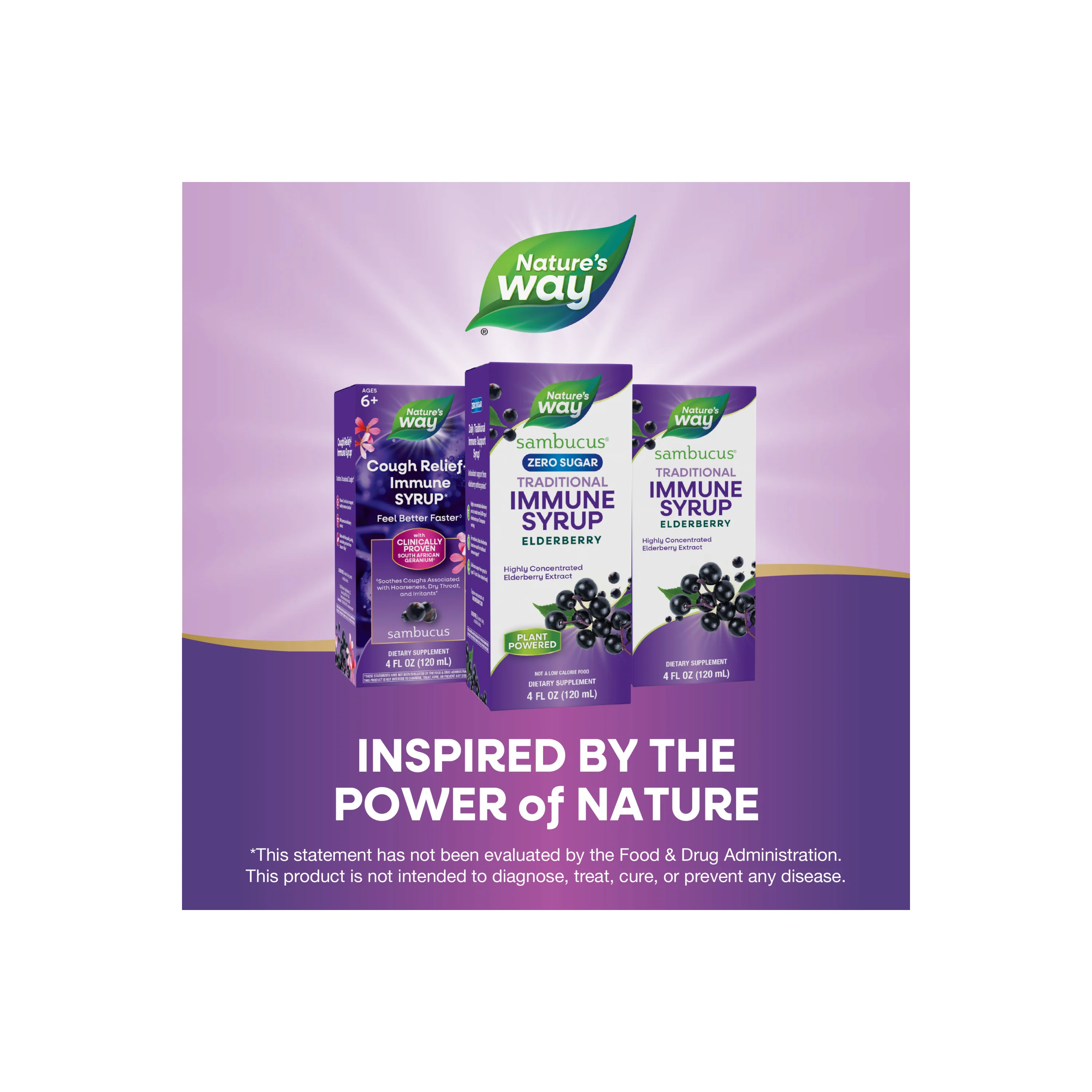 Sambucus Zero Sugar Traditional Immune Syrup - Image 6