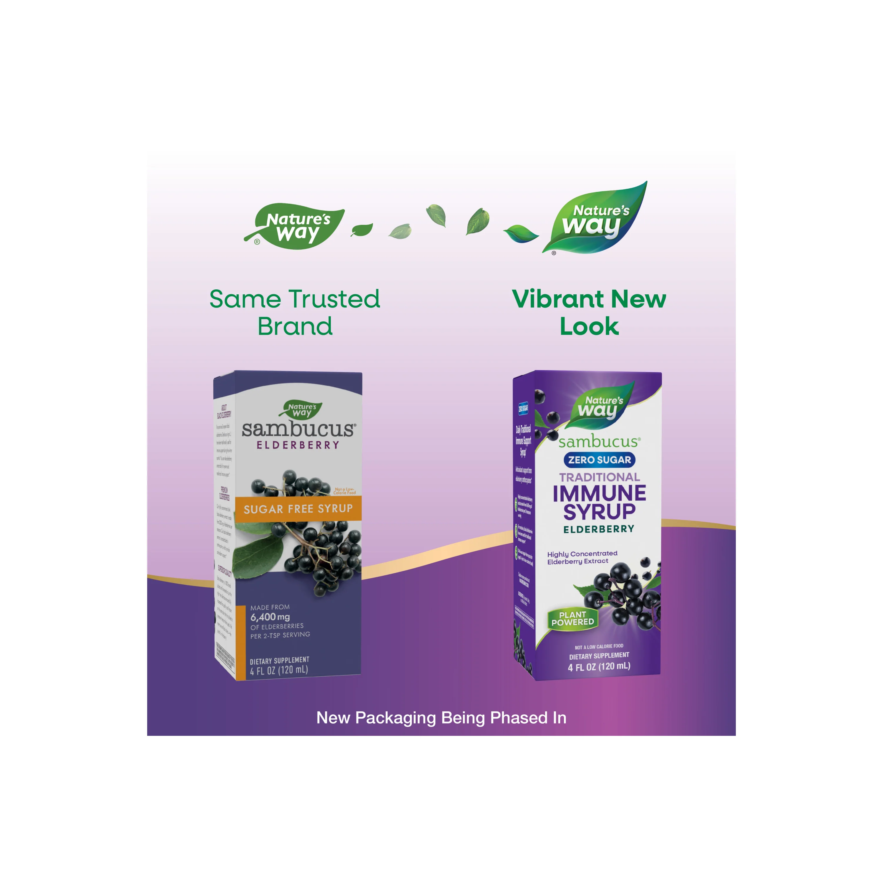Sambucus Zero Sugar Traditional Immune Syrup - Image 8
