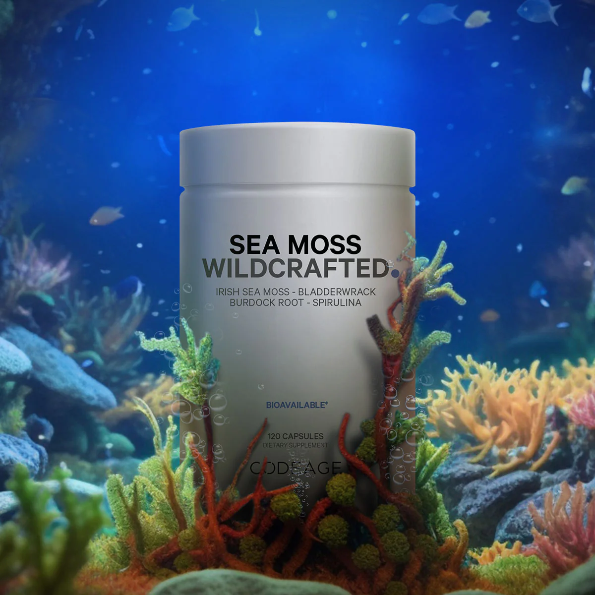 Sea Moss Wild Crafted - Image 8
