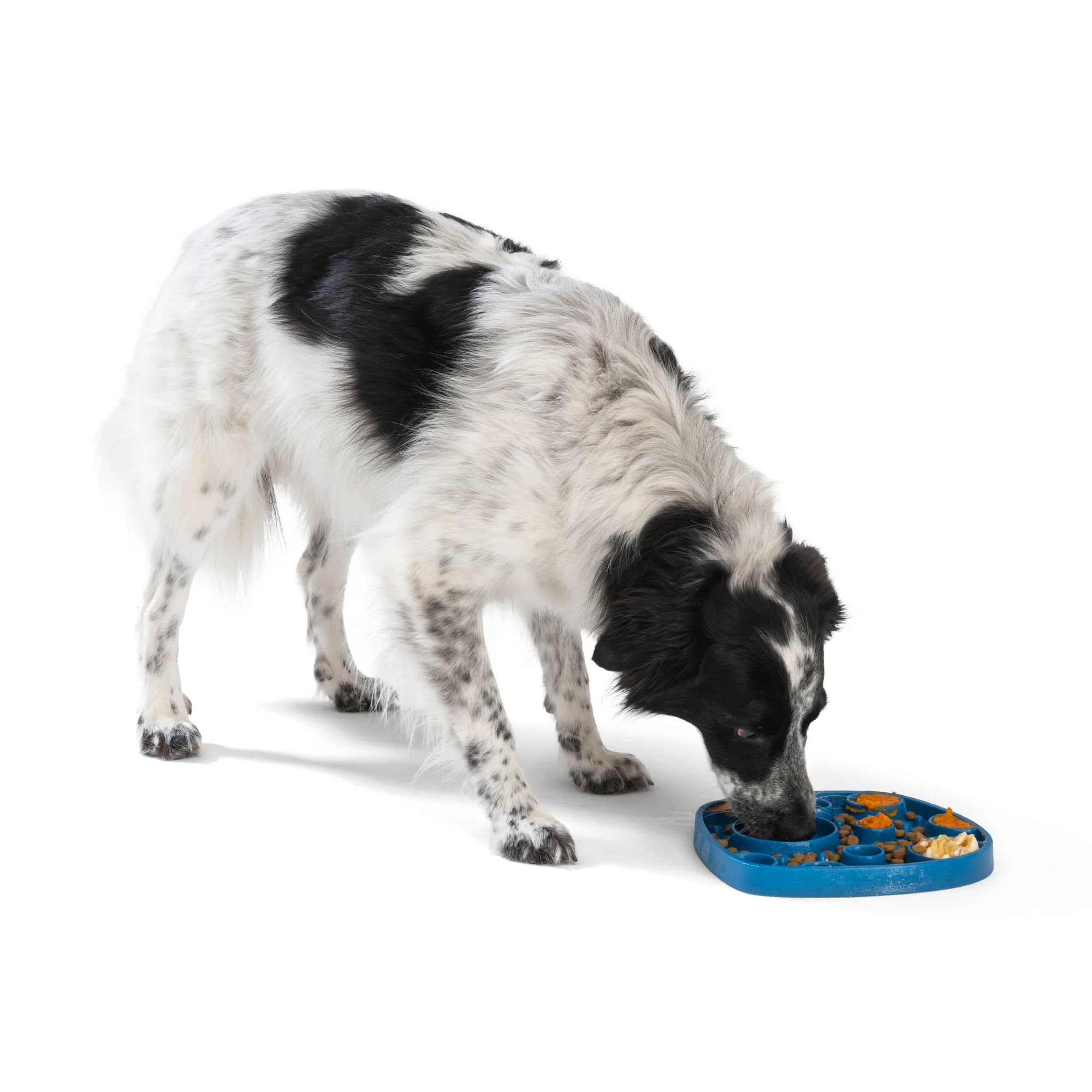 Seaflex Bubbles Feast Mat - All-in-One Slow Feeder & Lick Mat - Image 15
