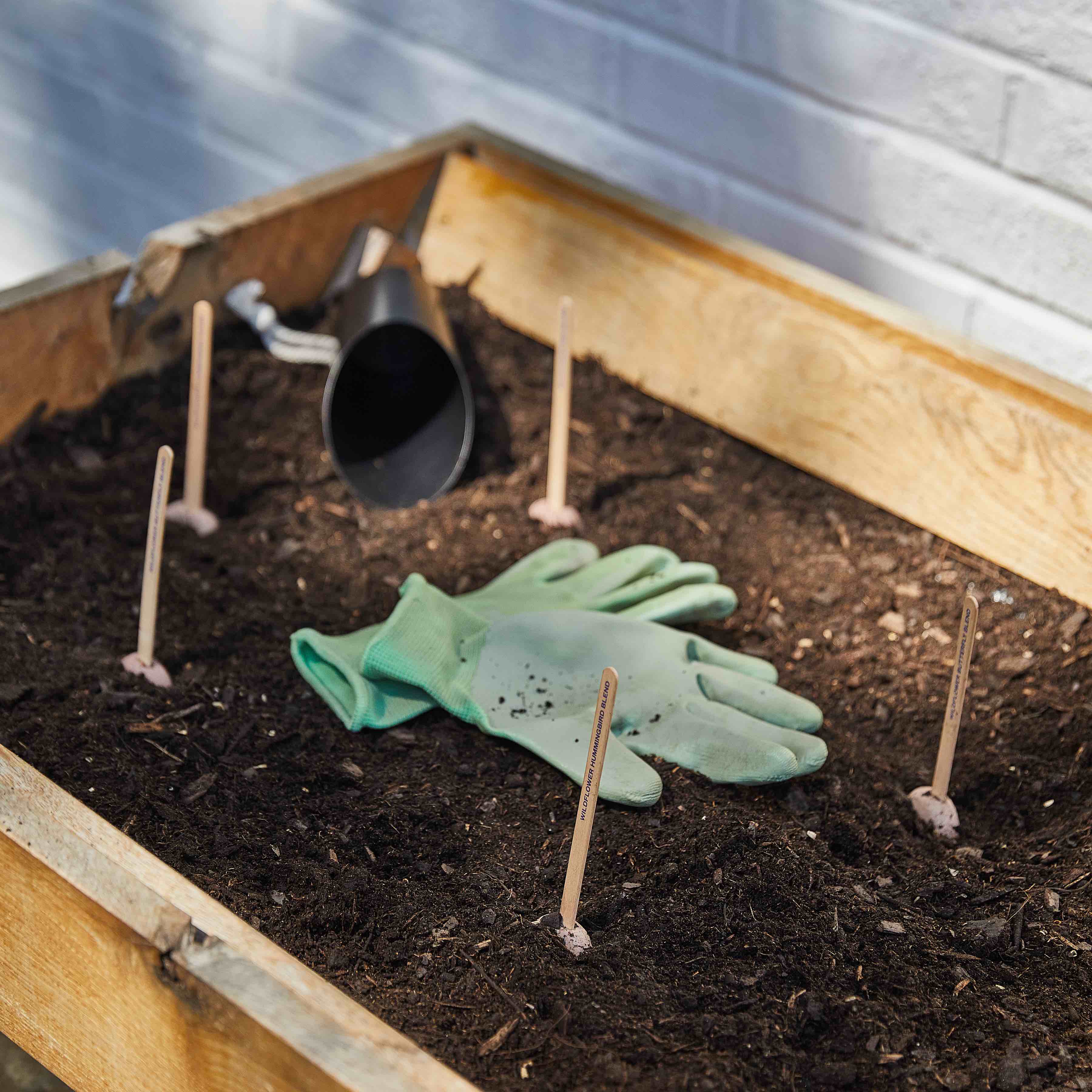 Seed Pop - Image 14