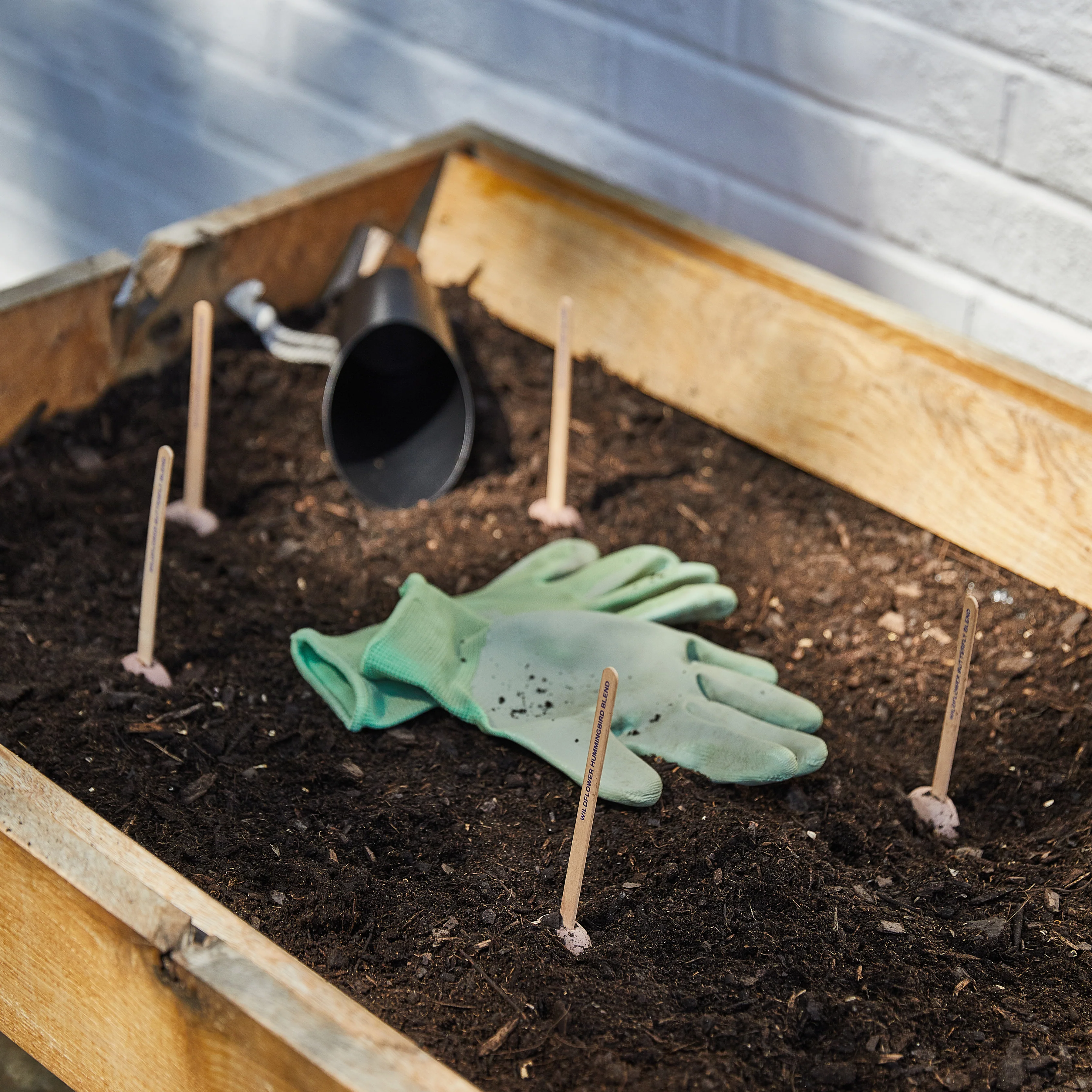 Seed Pop - Image 18