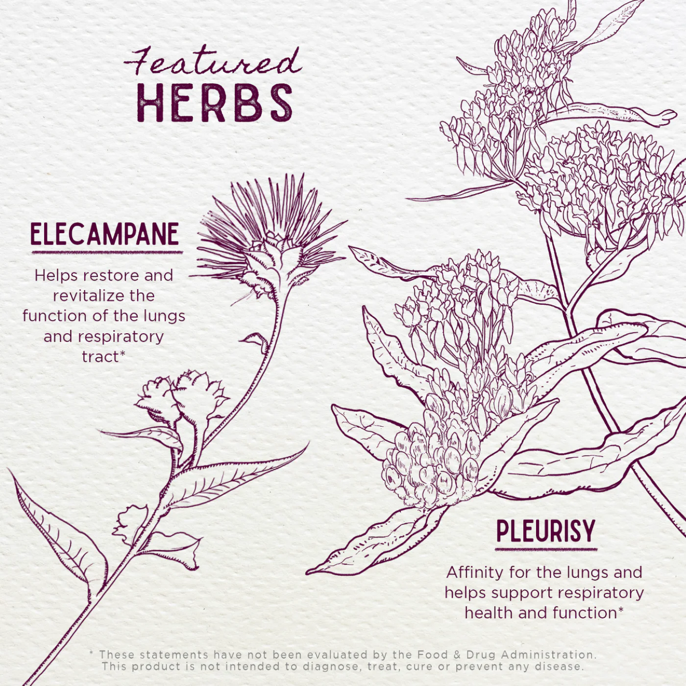 Serious Cough - Herbal Supplement - Image 3