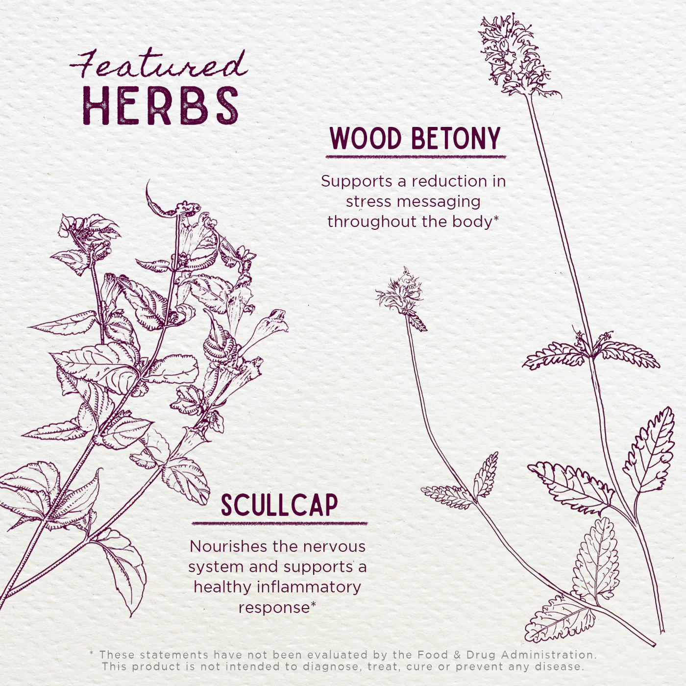 Serious Relaxer - Herbal Supplement - Image 4